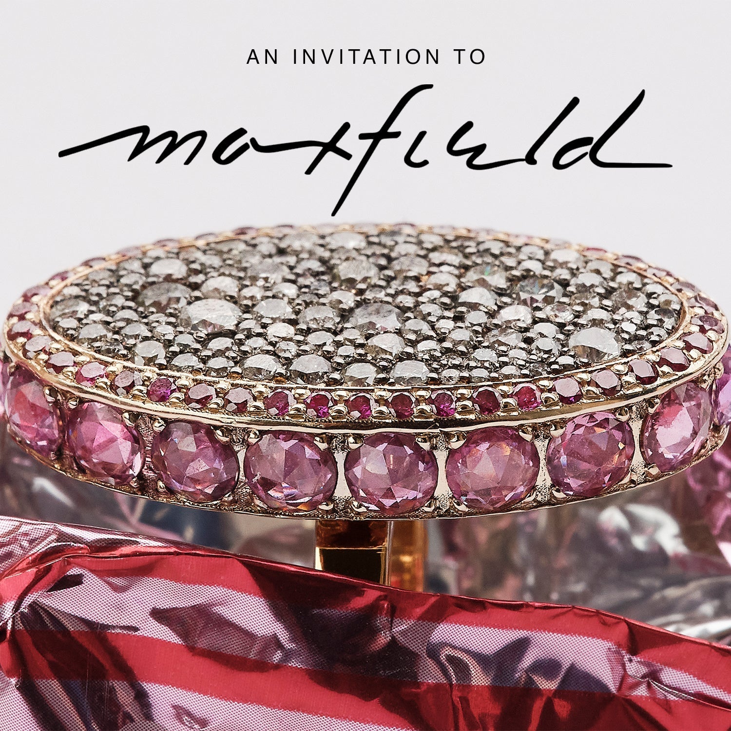 An Invitation to Explore Our Curated Collections