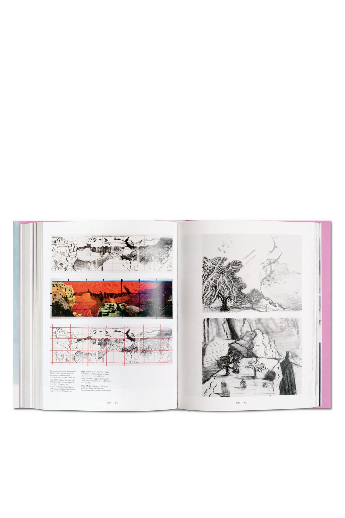TASCHEN | HOCKNEY SUMO