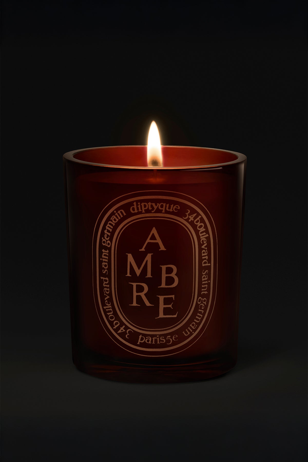 DIPTYQUE | AMBRE 300G CANDLE
