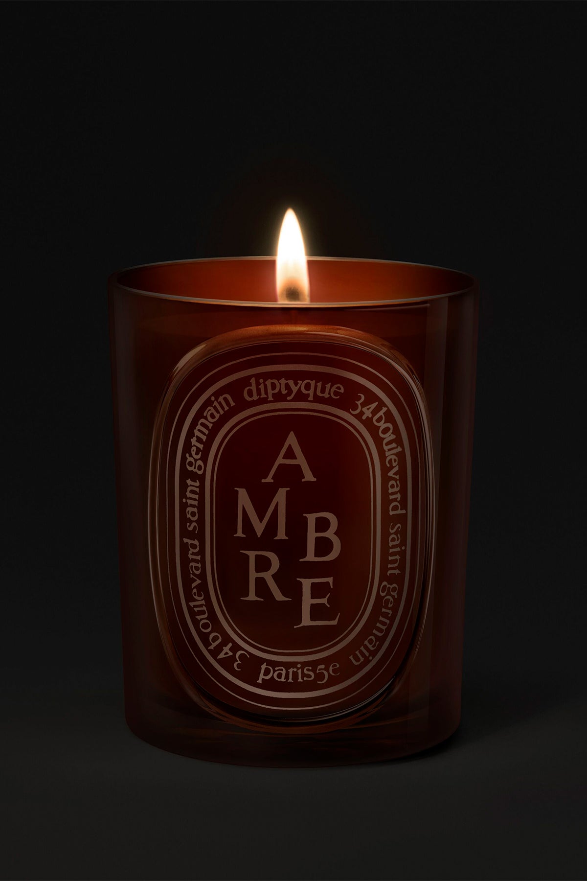 DIPTYQUE | AMBRE 300G CANDLE