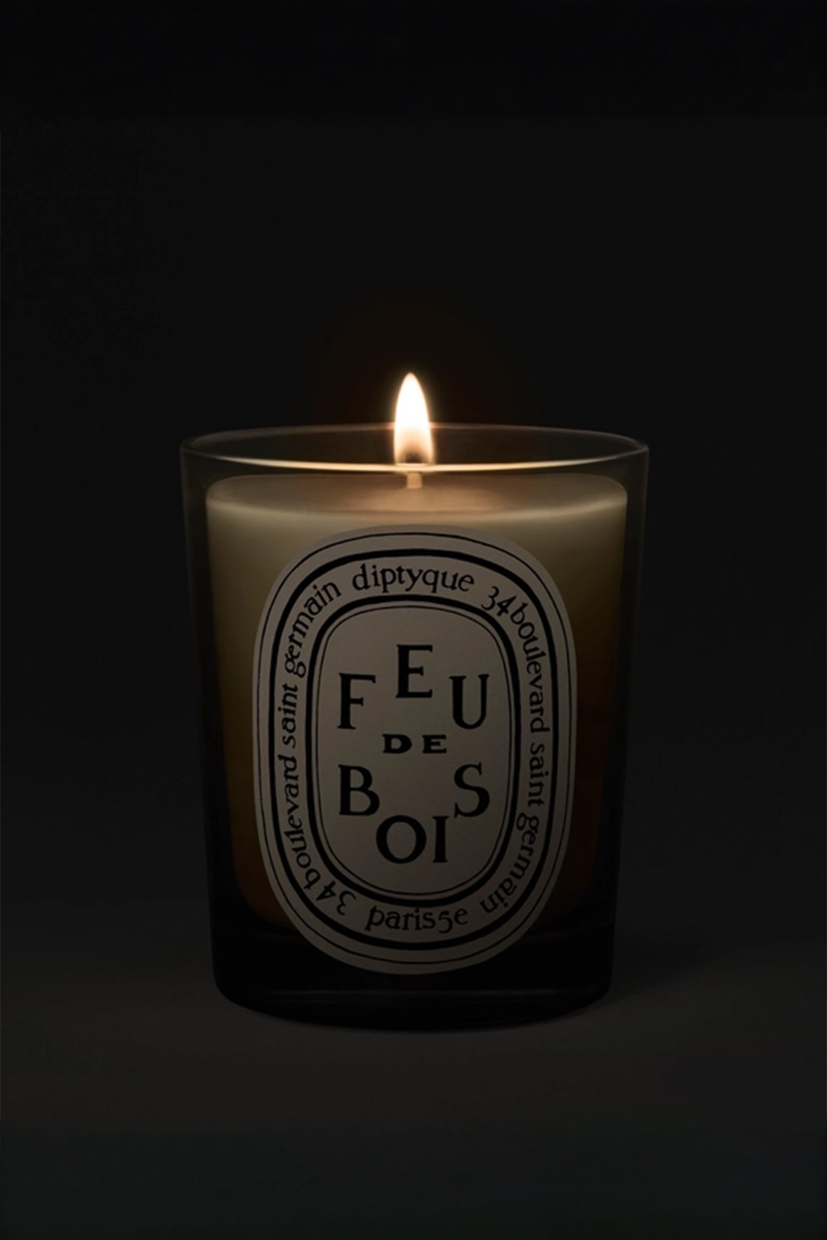 DIPTYQUE | FEU DE BOIS 190G CANDLE