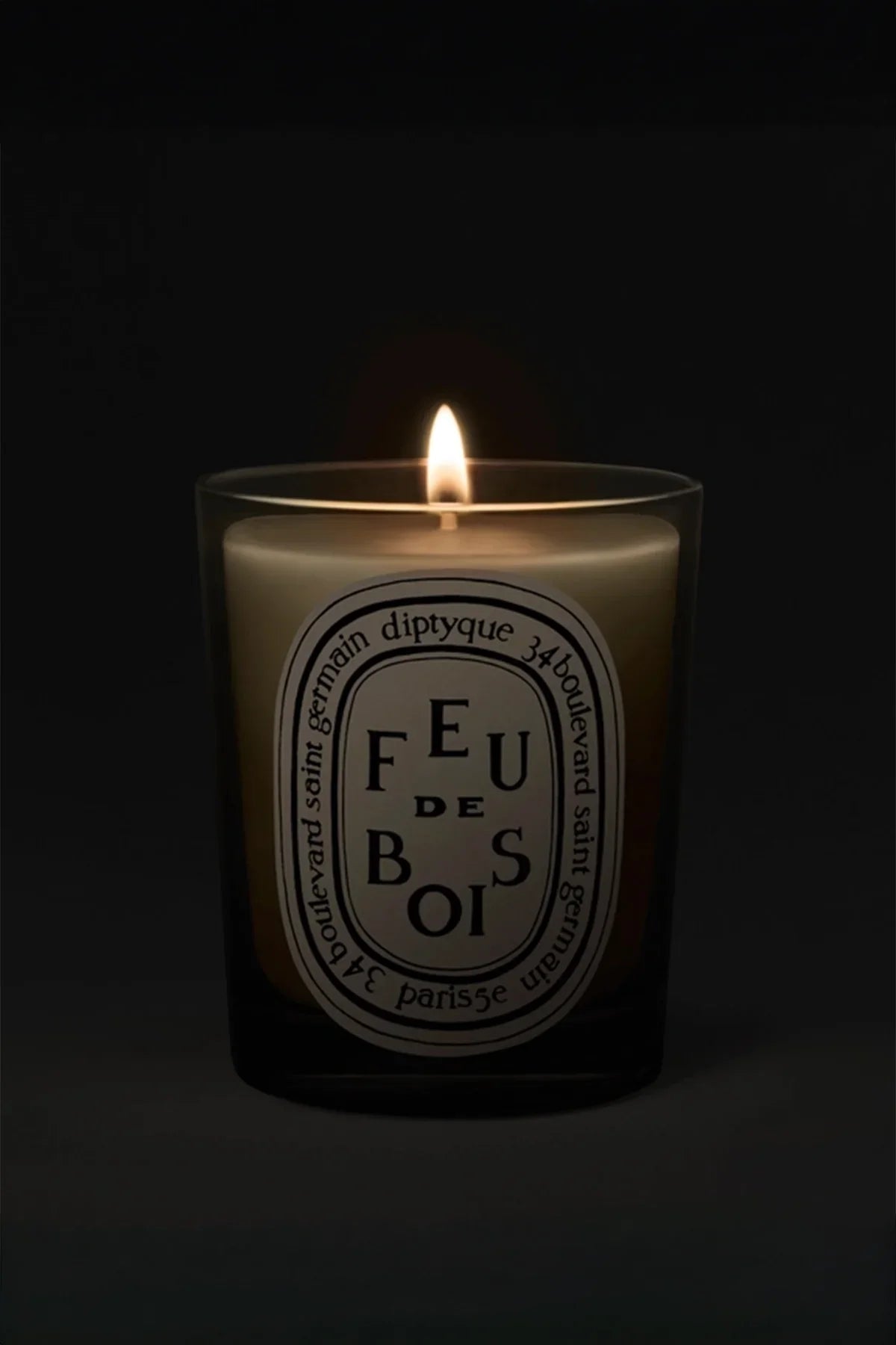 DIPTYQUE | FEU DE BOIS 190G CANDLE