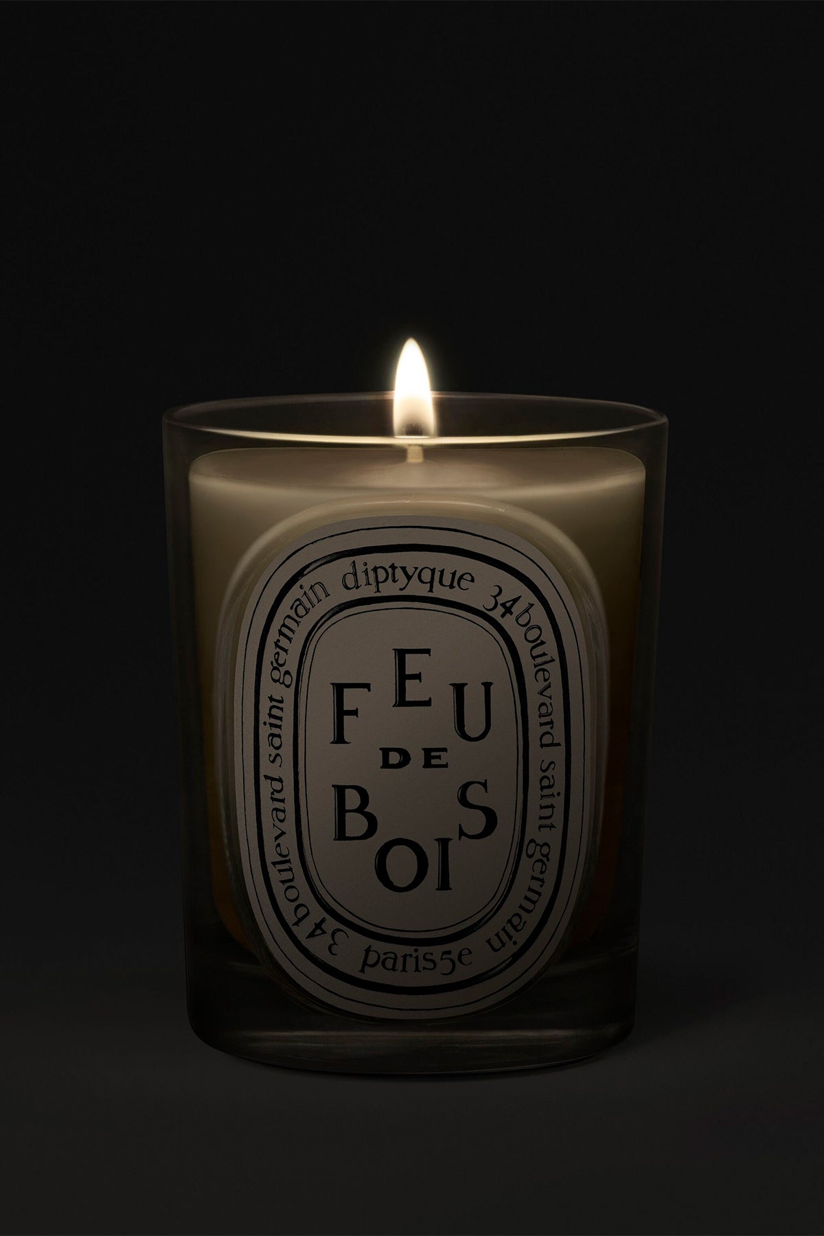 DIPTYQUE | FEU DE BOIS 190G CANDLE