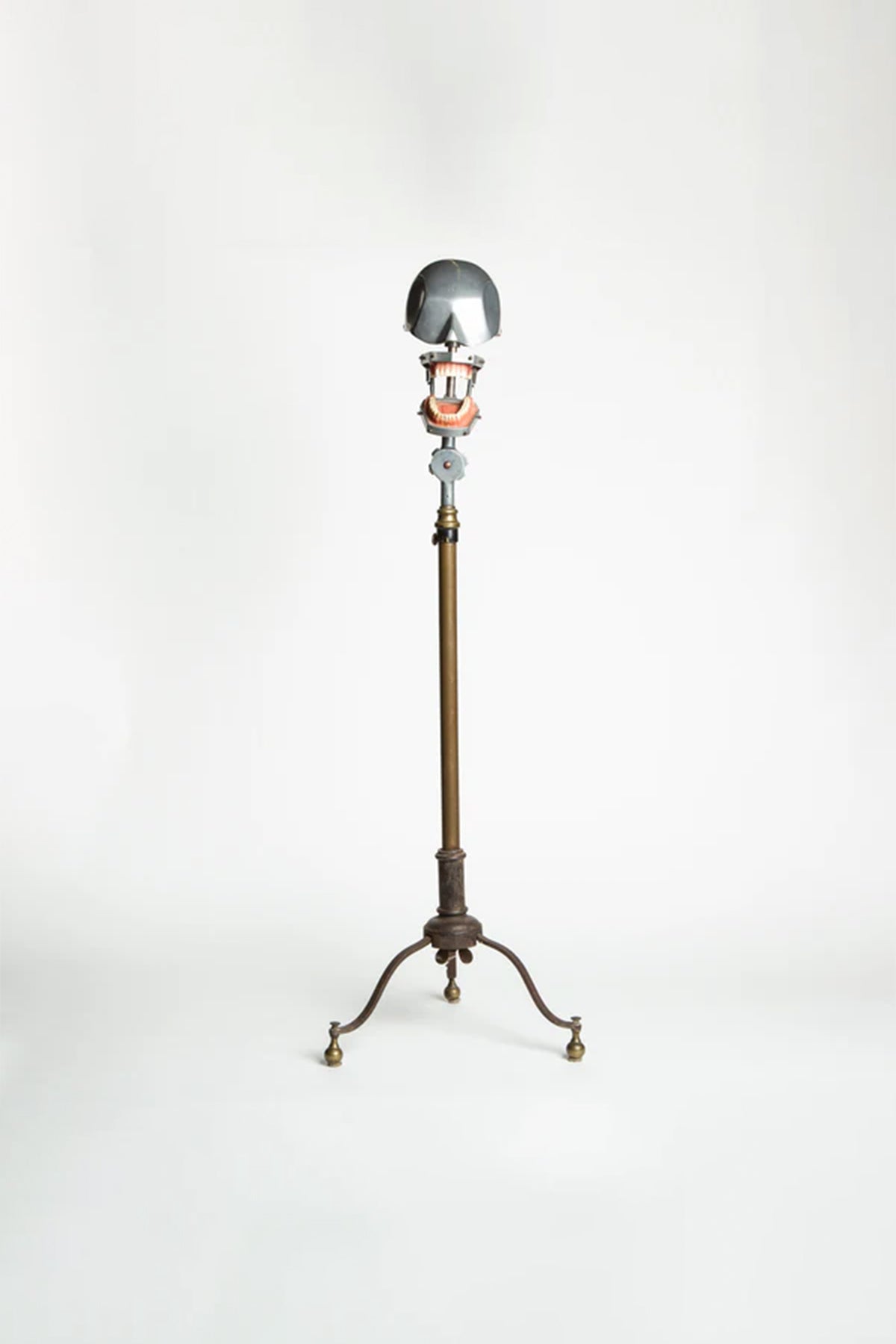 MAXFIELD PRIVATE COLLECTION | 1940'S DENTAL PHANTOM WITH STAND