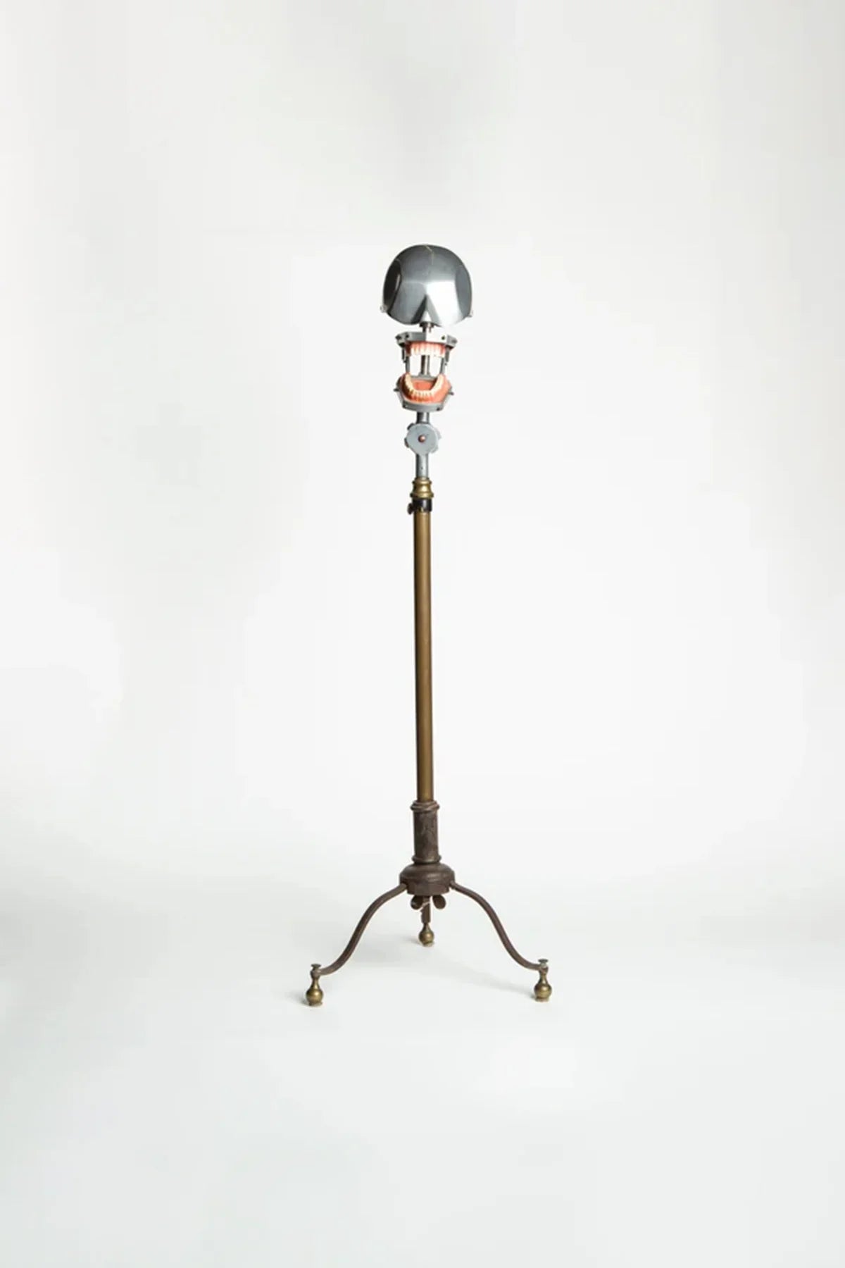 MAXFIELD PRIVATE COLLECTION | 1940'S DENTAL PHANTOM WITH STAND