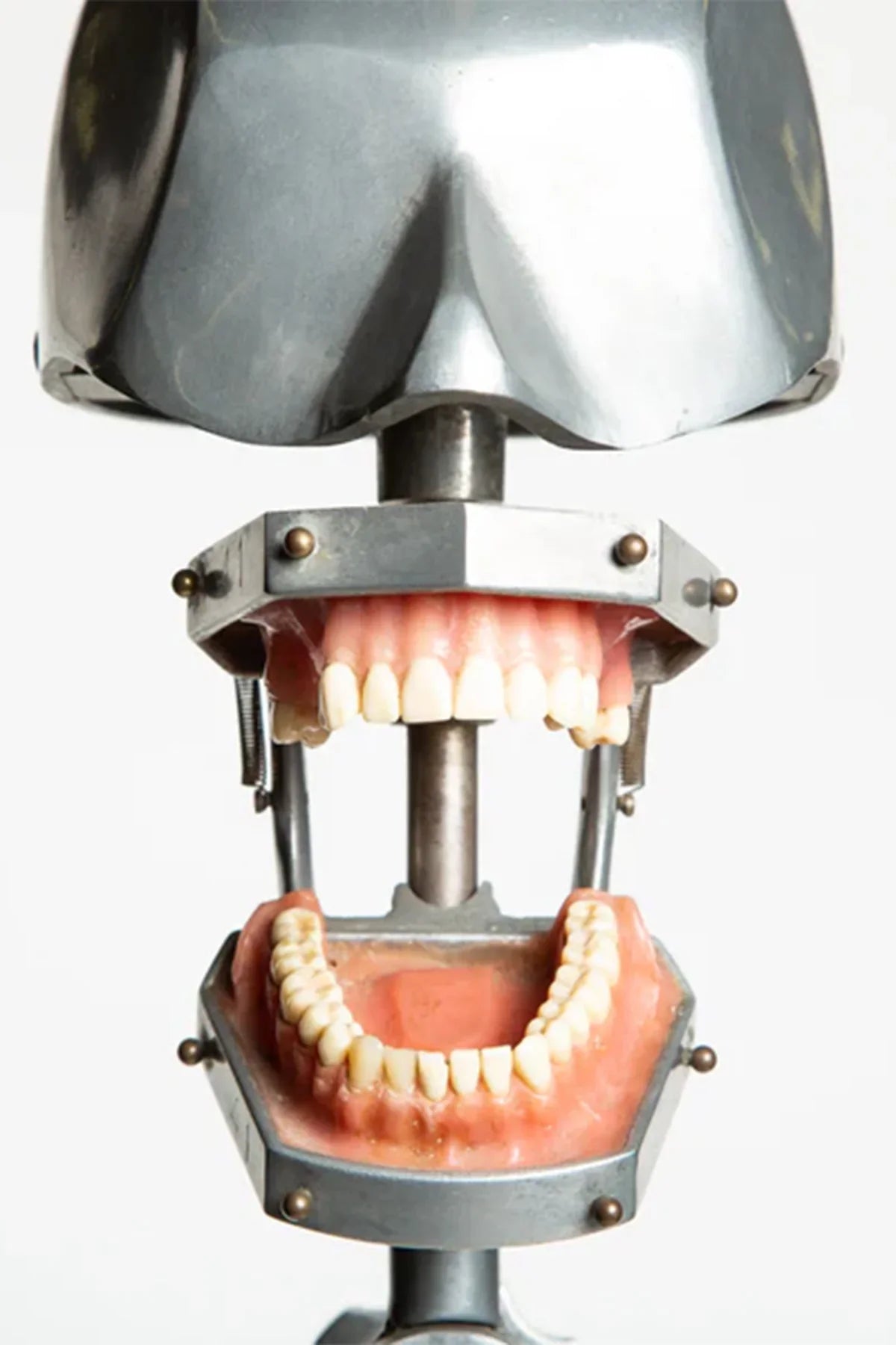 MAXFIELD PRIVATE COLLECTION | 1940'S DENTAL PHANTOM WITH STAND