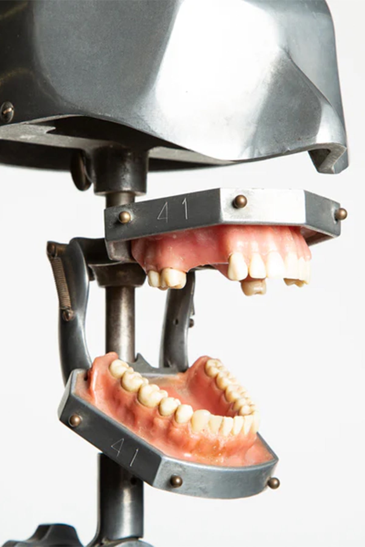 MAXFIELD PRIVATE COLLECTION | 1940'S DENTAL PHANTOM WITH STAND - MAXFIELD LA