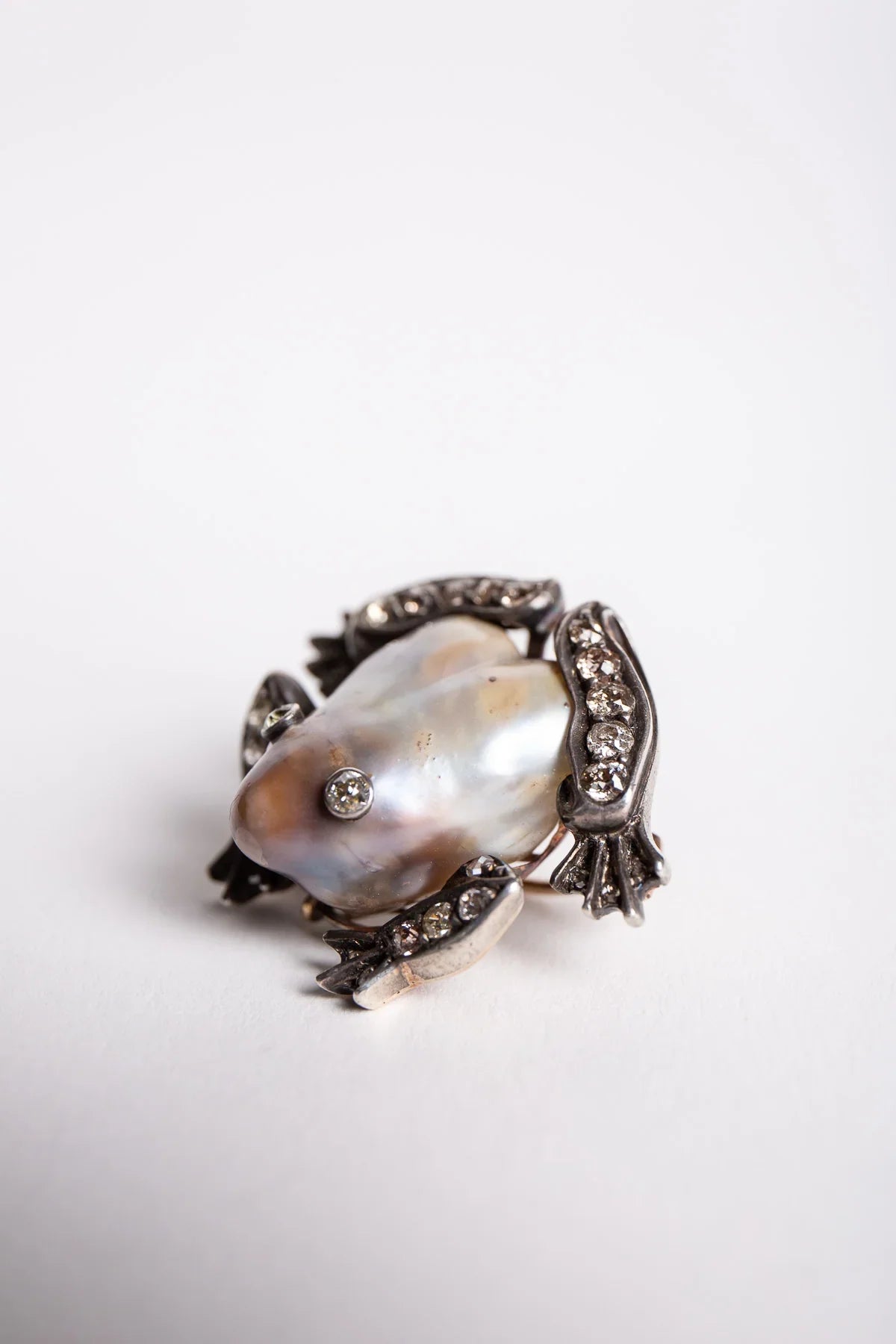 MAXFIELD PRIVATE COLLECTION | VINTAGE ABALONE SHELL FROG BROOCH