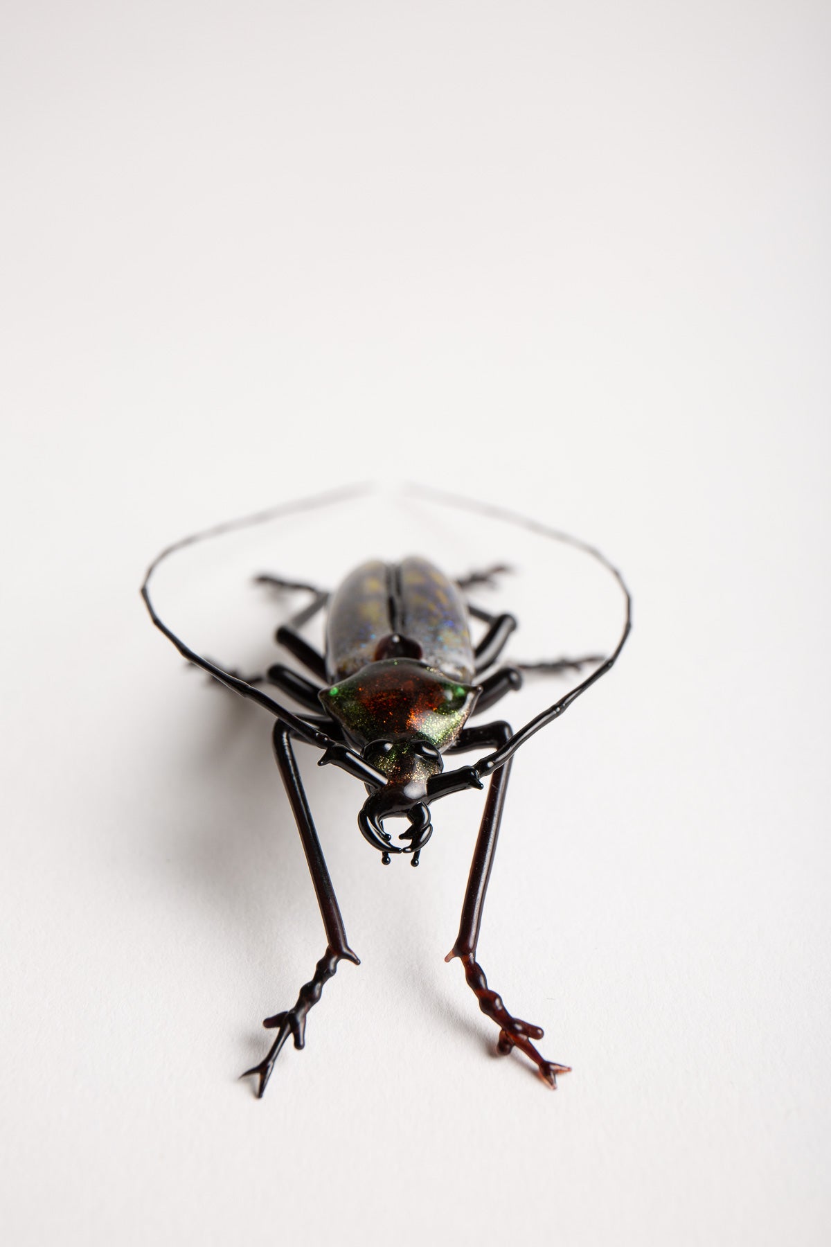 MAXFIELD PRIVATE COLLECTION | LONG HORNED BEETLE