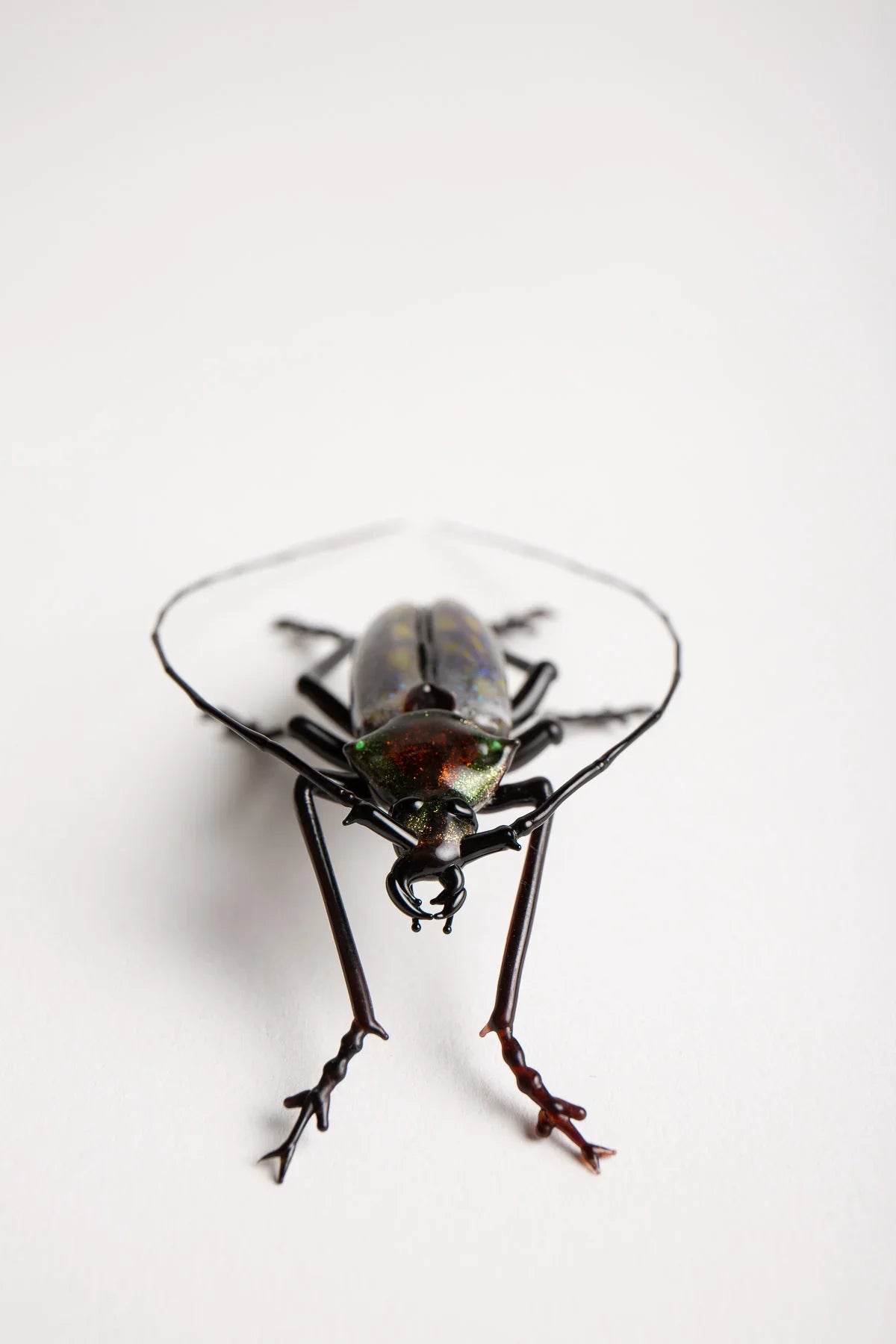 MAXFIELD PRIVATE COLLECTION | LONG HORNED BEETLE