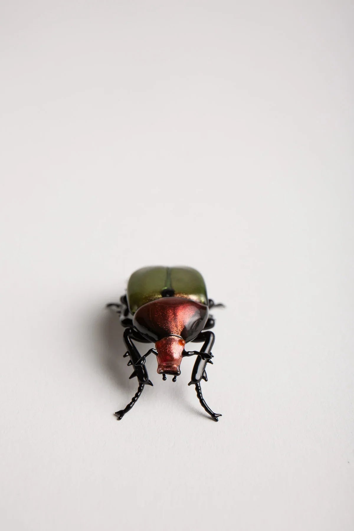 MAXFIELD PRIVATE COLLECTION | GREEN JUNE BEETLE