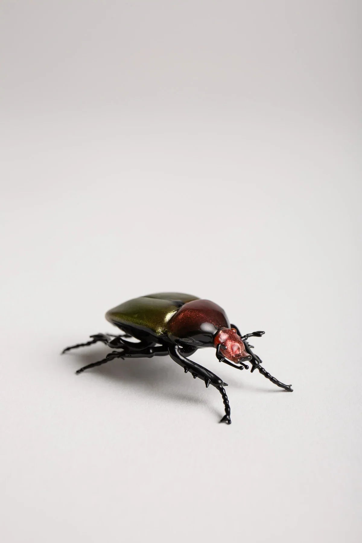 MAXFIELD PRIVATE COLLECTION | GREEN JUNE BEETLE