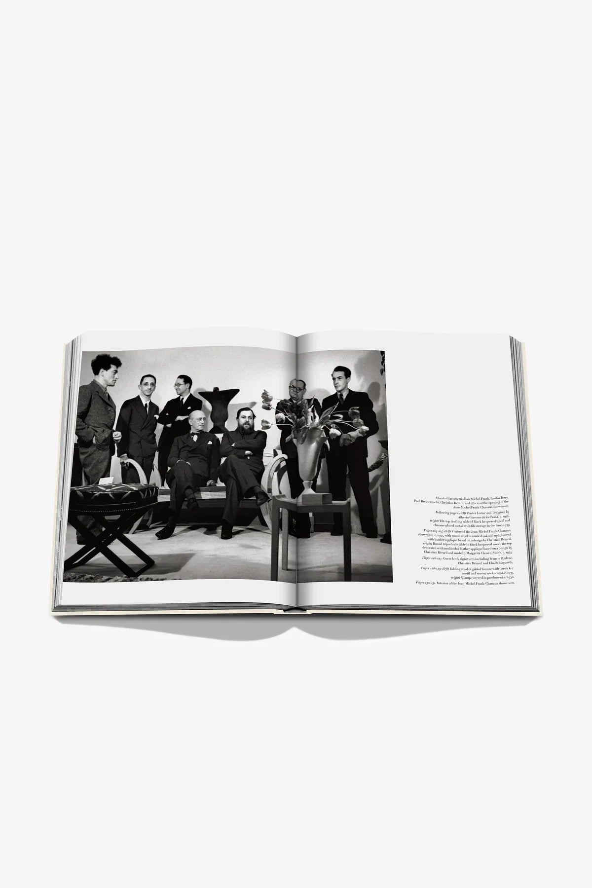 ASSOULINE | JEAN-MICHEL FRANK