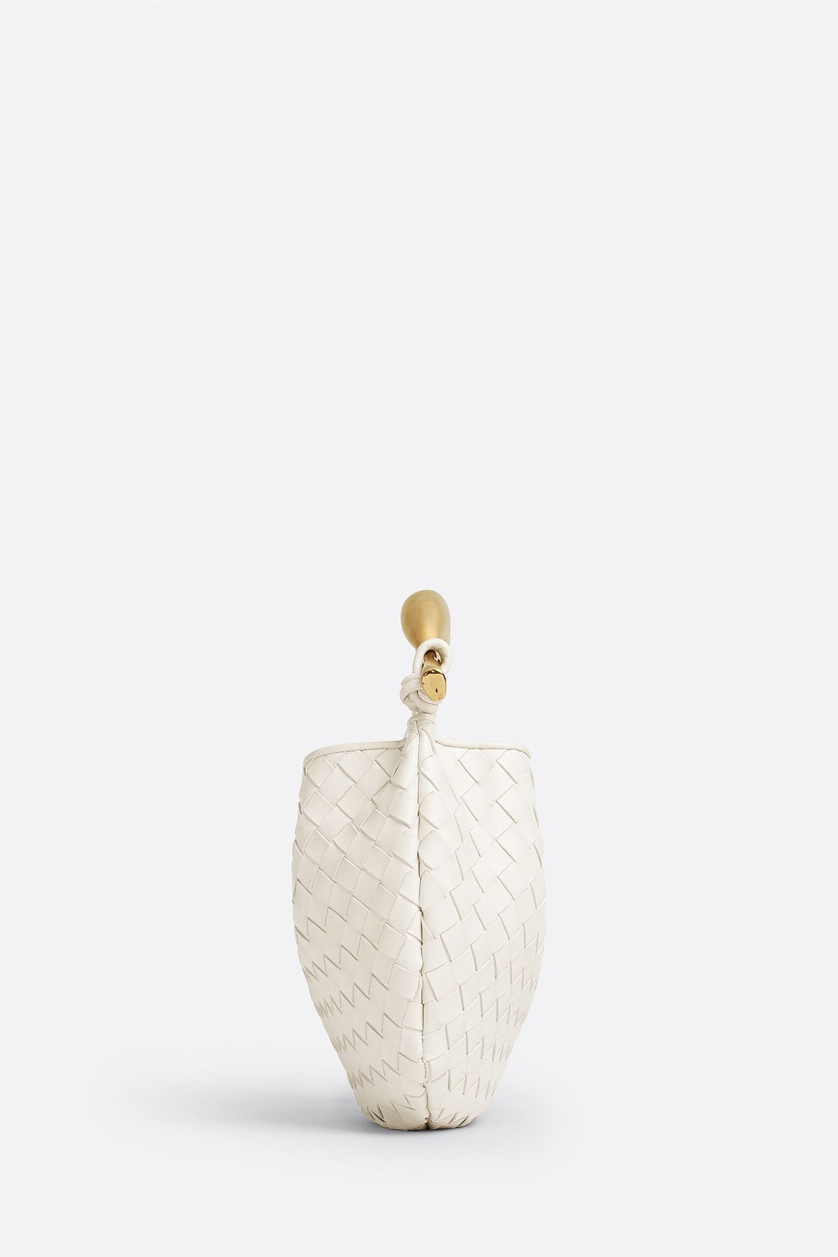 BOTTEGA VENETA | SARDINE BAG