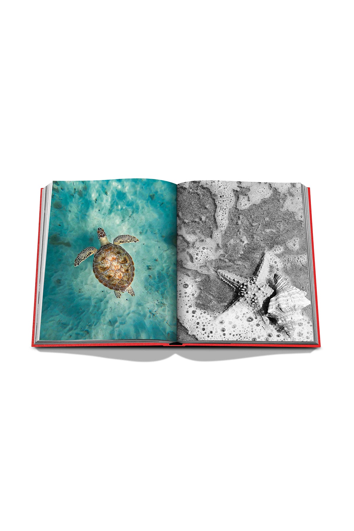 ASSOULINE | ST . BARTHS FREEDOM - MAXFIELD LA