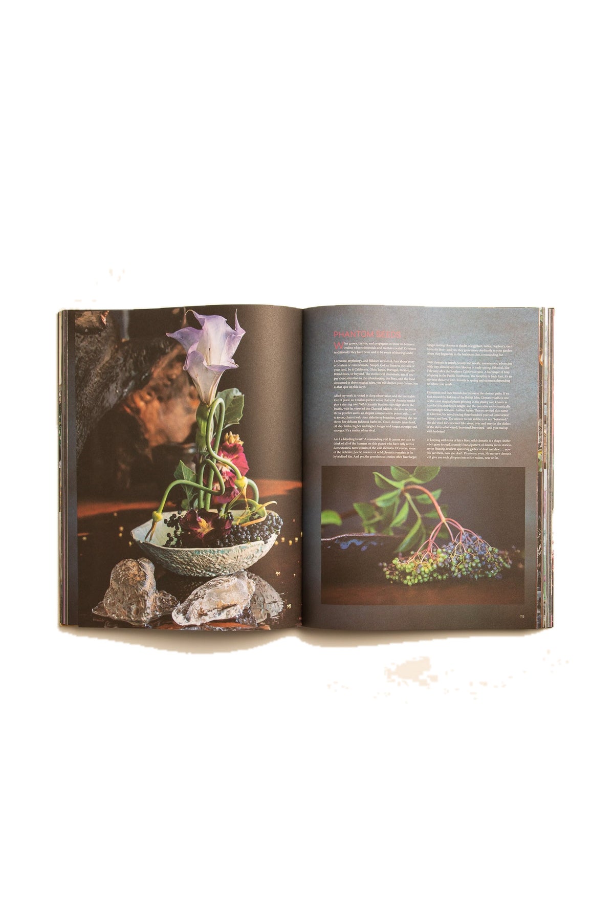ABRAMS | PUNK IKEBANA: REIMAGINING THE ART OF FLORAL DESIGN