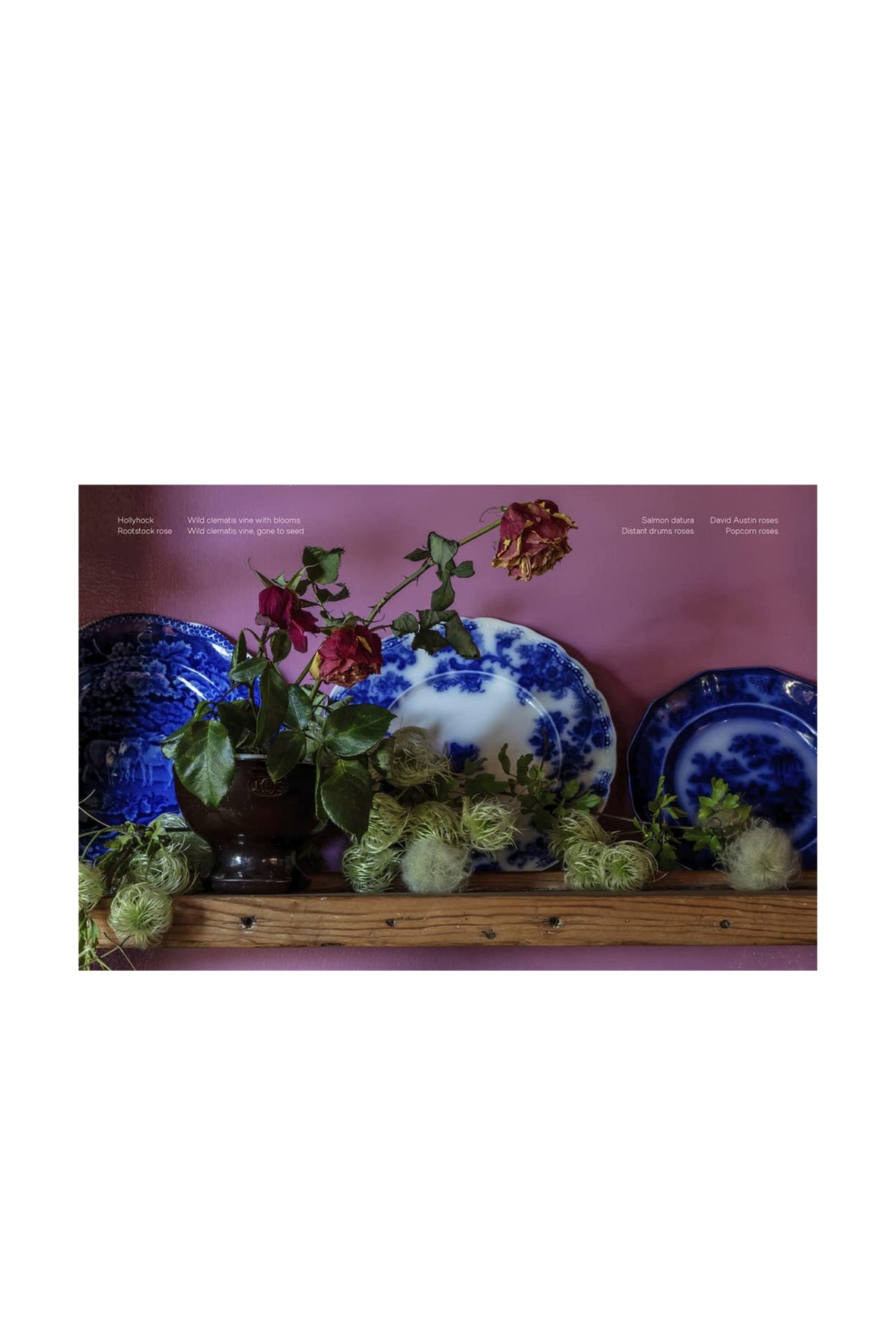 ABRAMS | PUNK IKEBANA: REIMAGINING THE ART OF FLORAL DESIGN