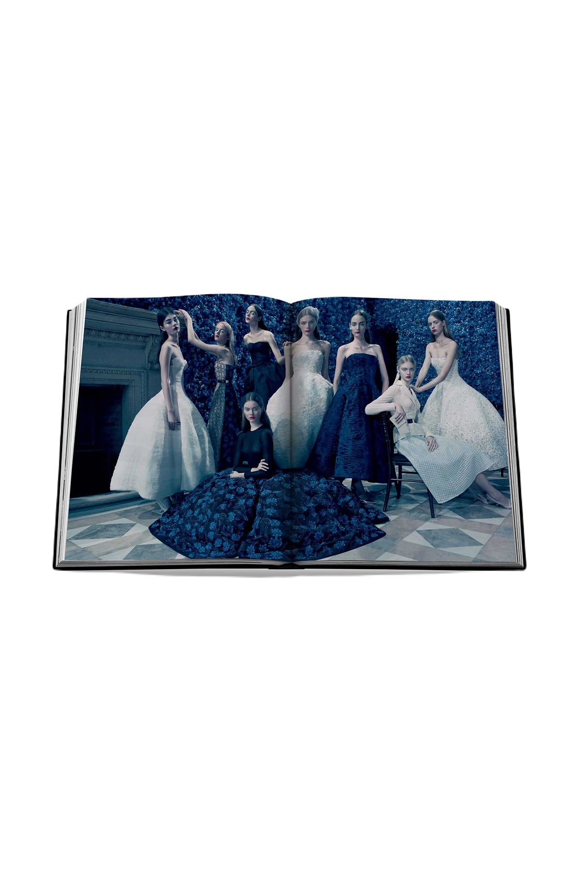 ASSOULINE | DIOR RAF SIMONS - MAXFIELD LA