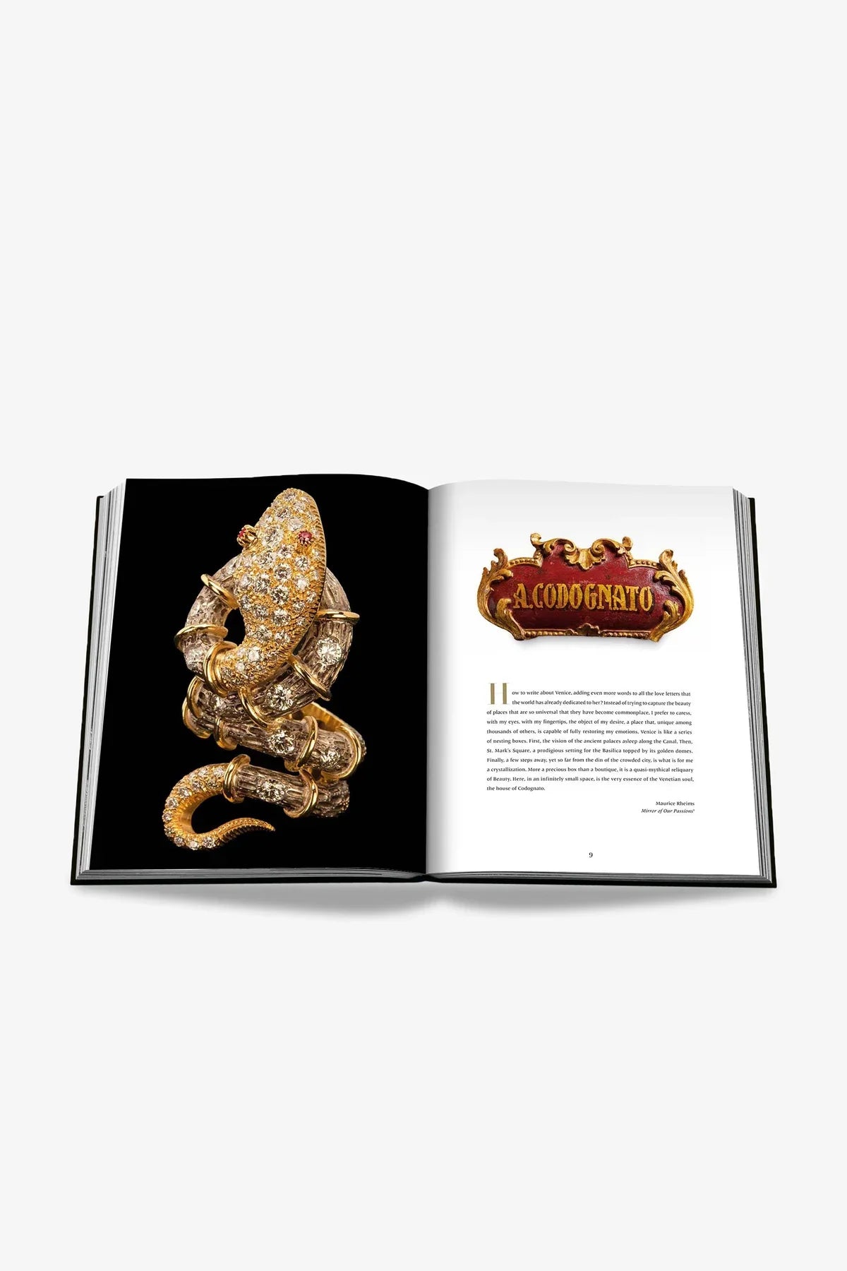 ASSOULINE | CODOGNATO MASTERPIECE