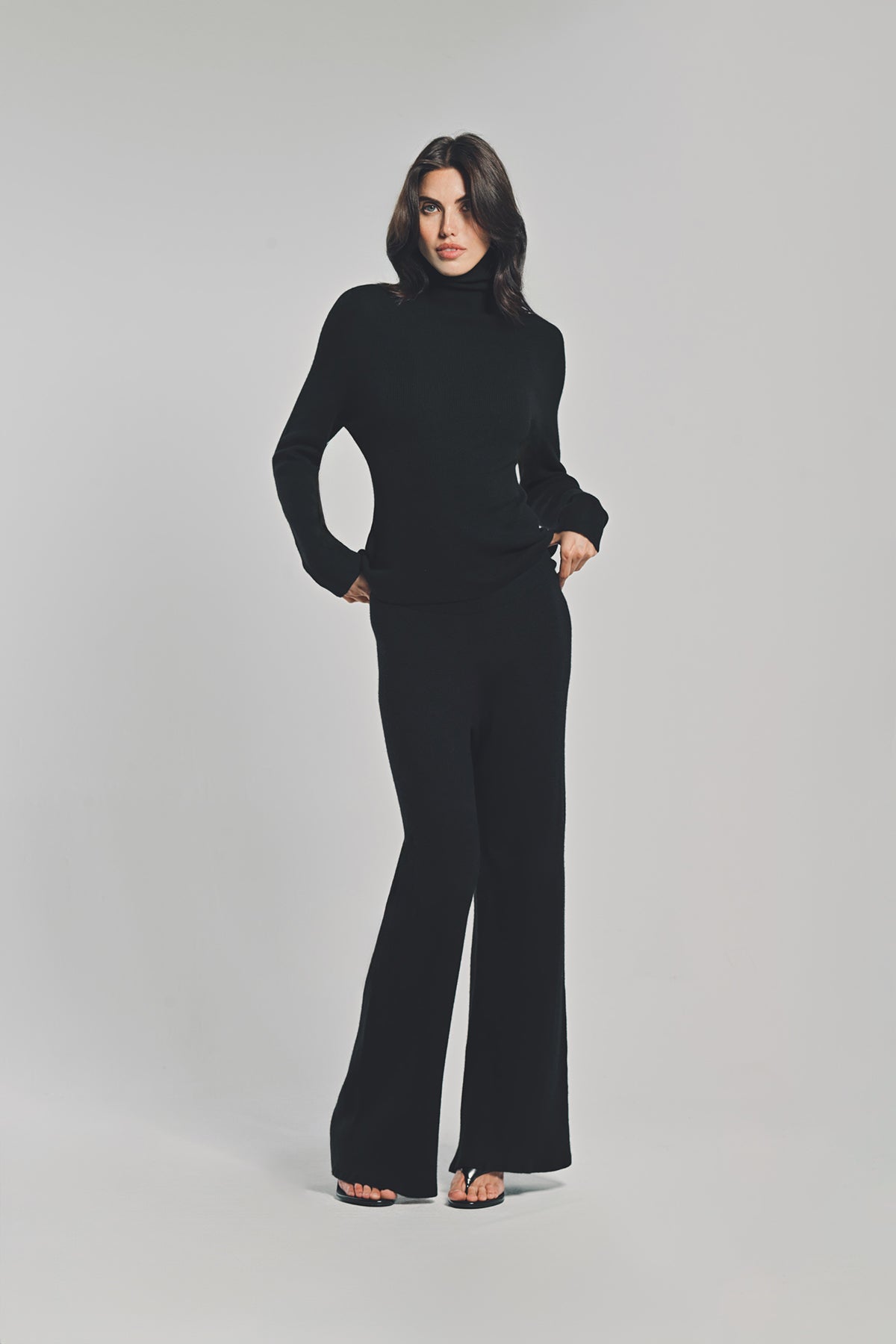 THE ELDER STATESMAN | DELICASH TURTLENECK