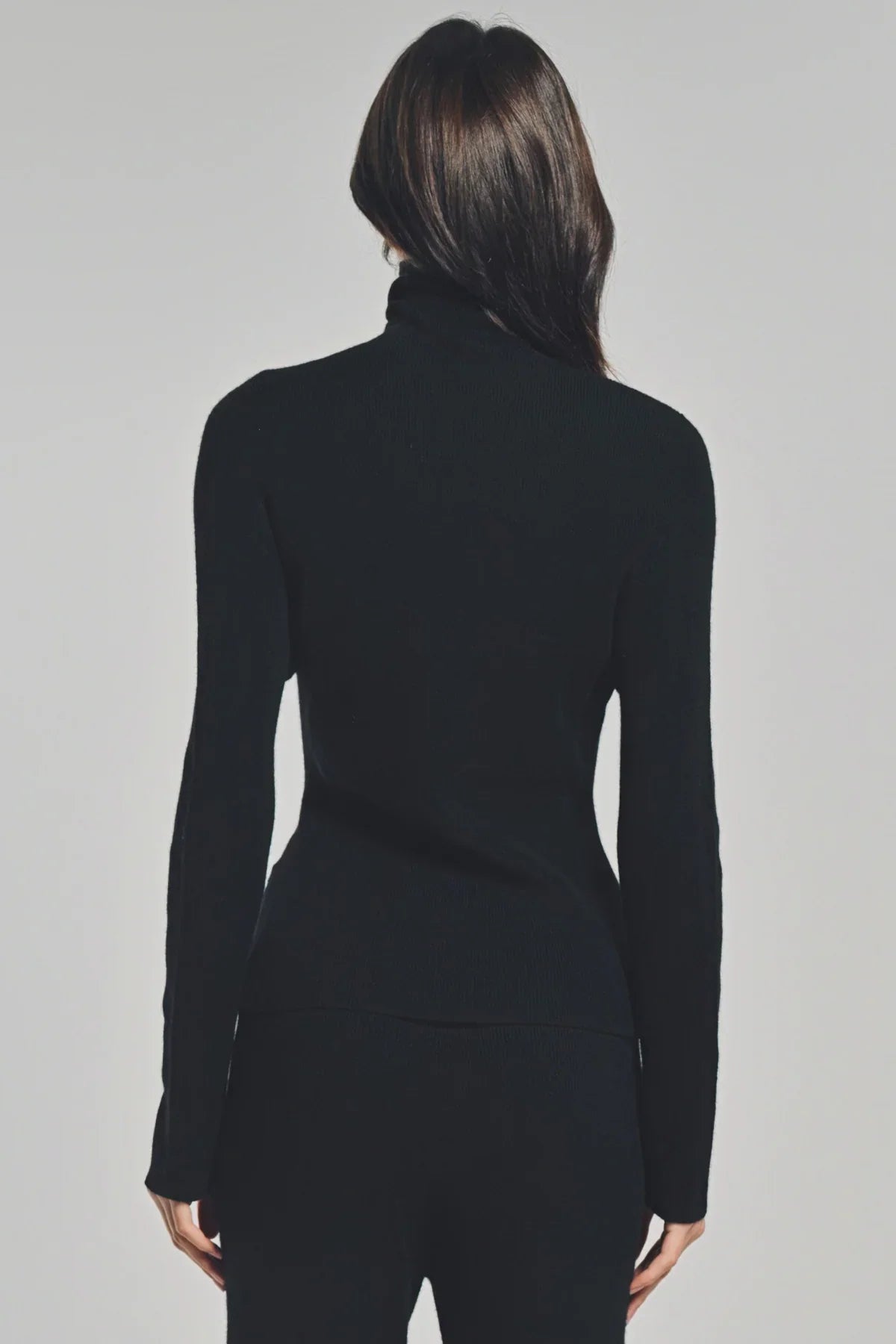 THE ELDER STATESMAN | DELICASH TURTLENECK