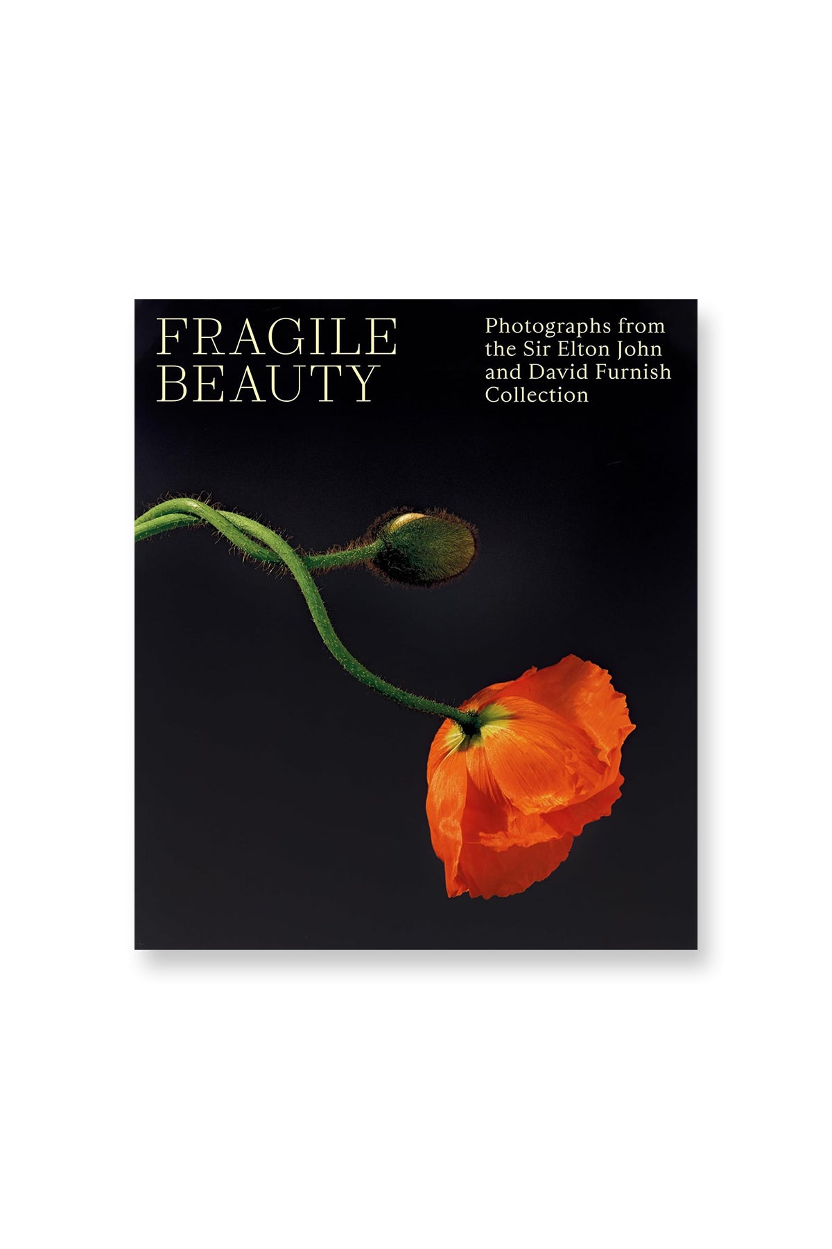 V&A PUBLISHING | FRAGILE BEAUTY: SIR ELTON JOHN - MAXFIELD LA