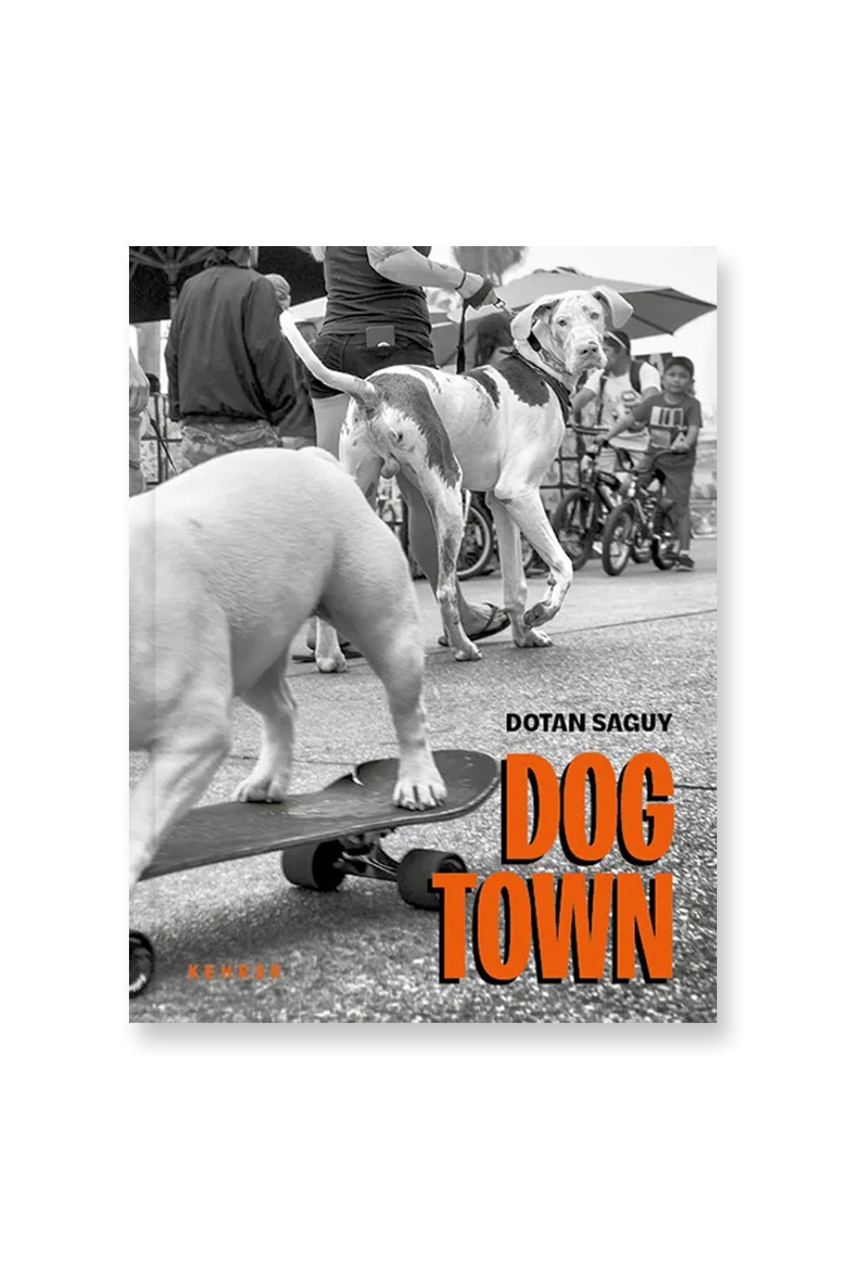INGRAM | DOGTOWN - MAXFIELD LA