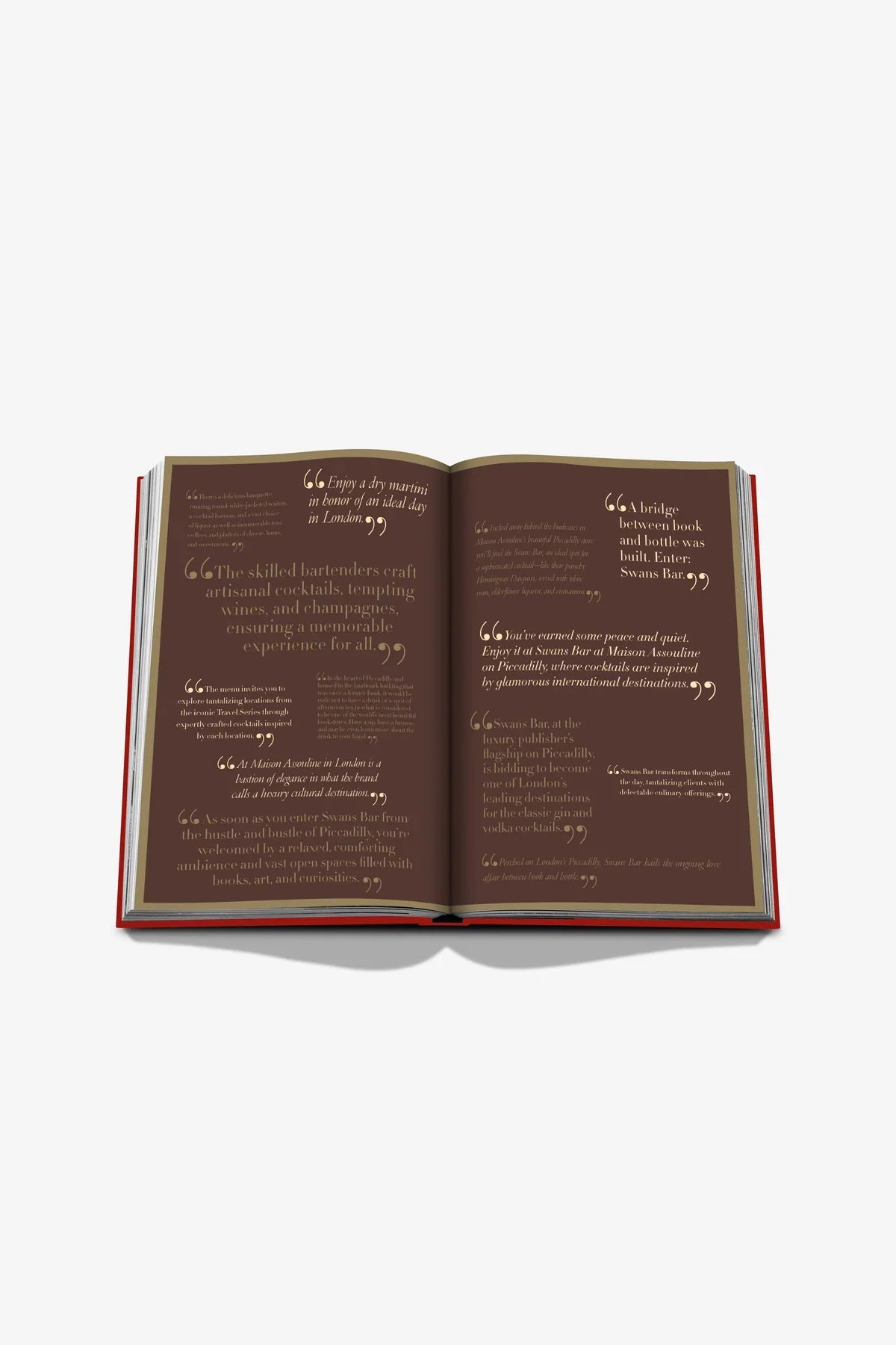 ASSOULINE | SWANS BAR