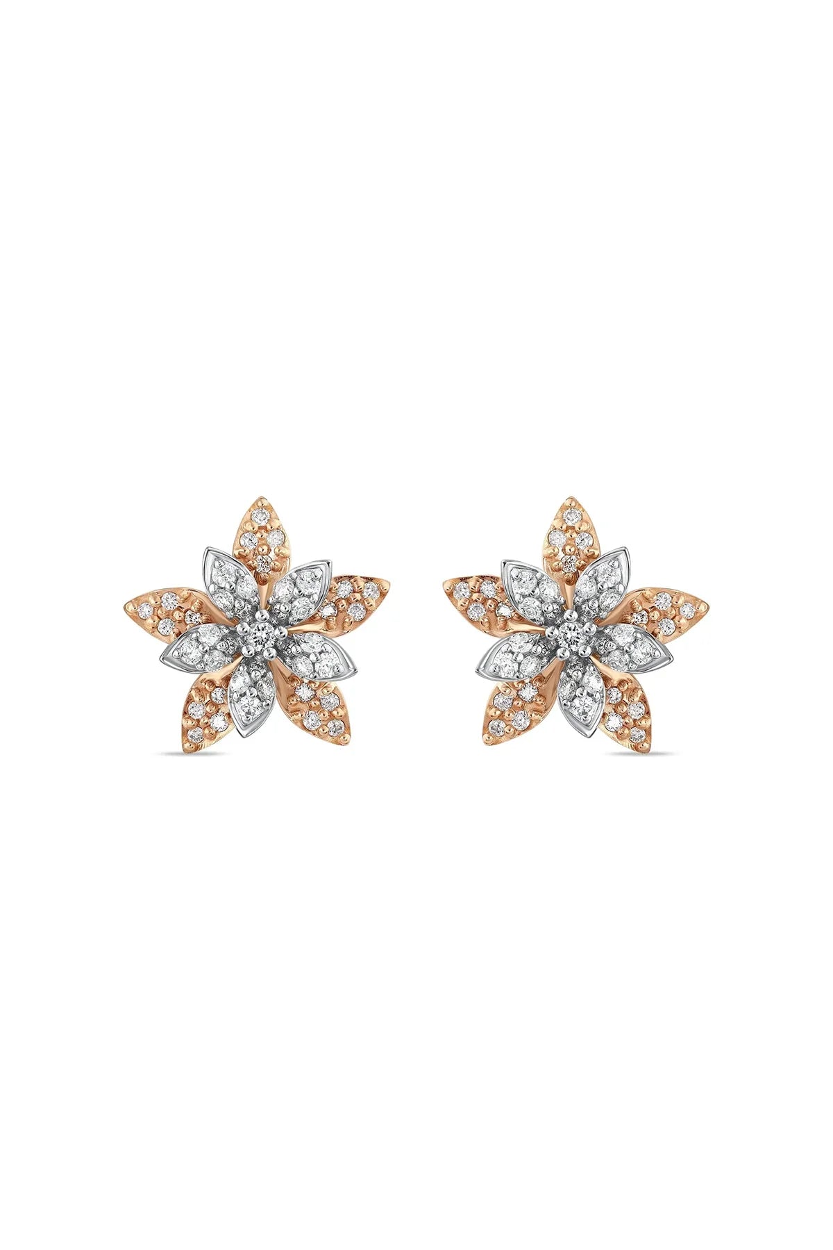 BEE GODDESS | ROSE-WHITE GOLD APPLE SEED DIAMOND EARRINGS