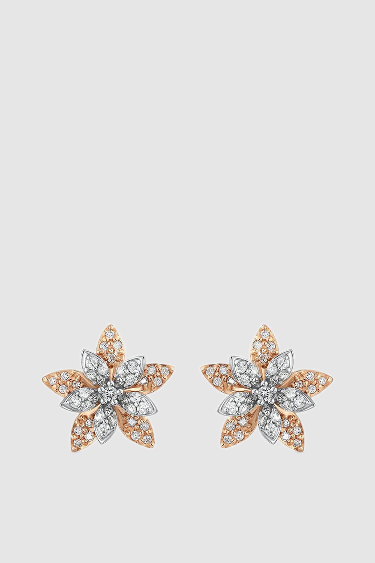 BEE GODDESS | ROSE-WHITE GOLD APPLE SEED DIAMOND EARRINGS