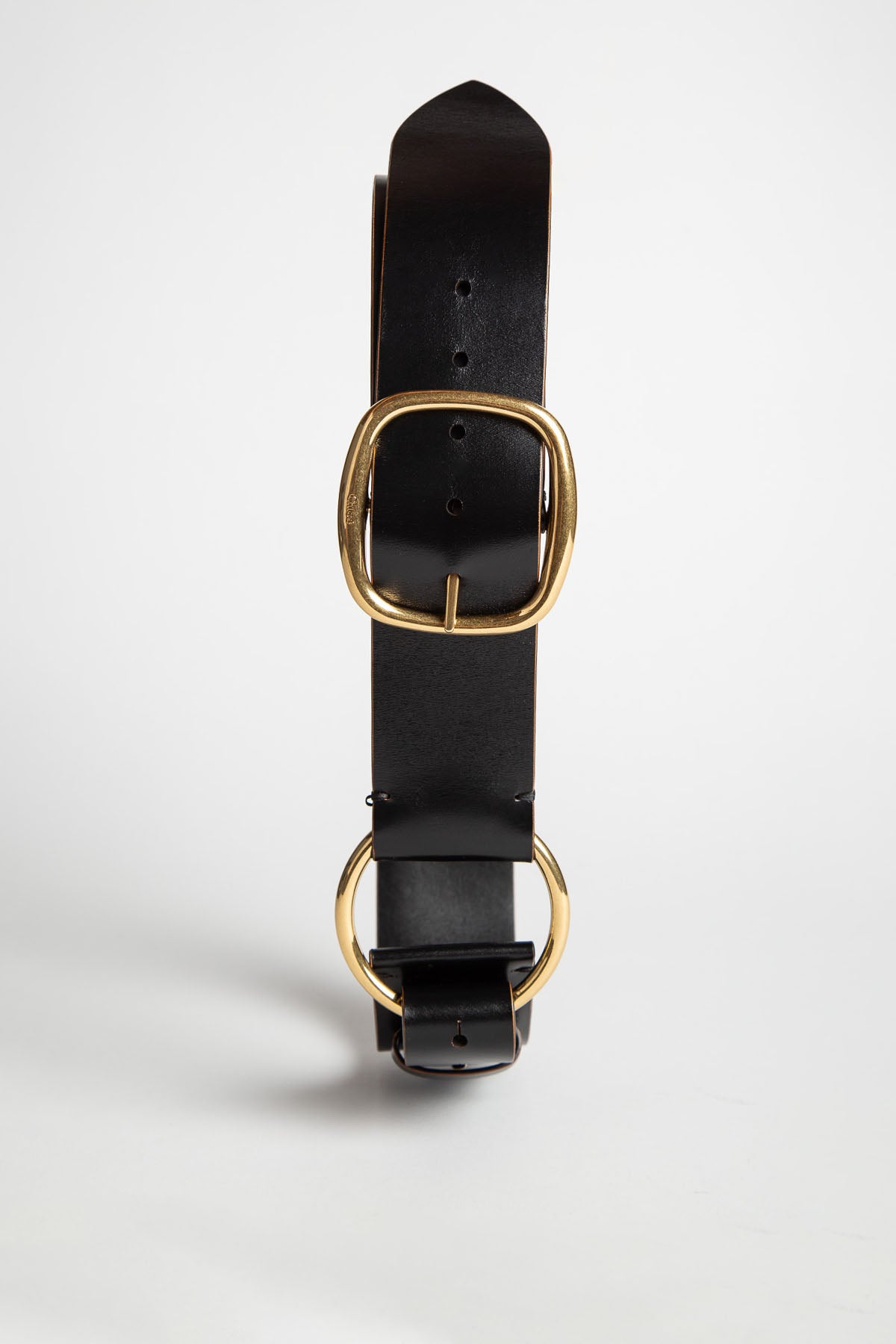 CHLOÉ | ANITA BELT display picture 3