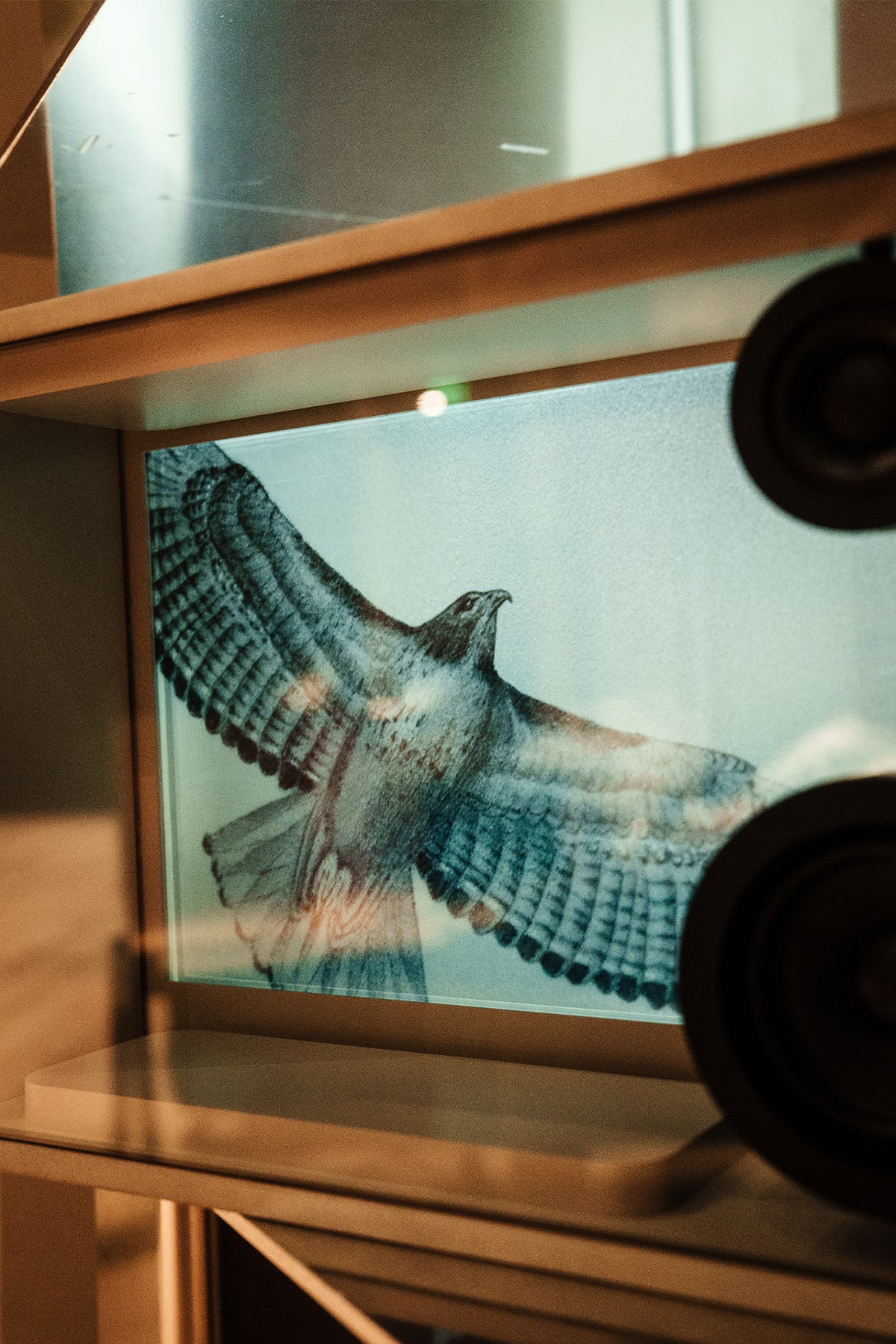 DR.WOO X COTODAMA | DR. WOO SPEAKERBOX