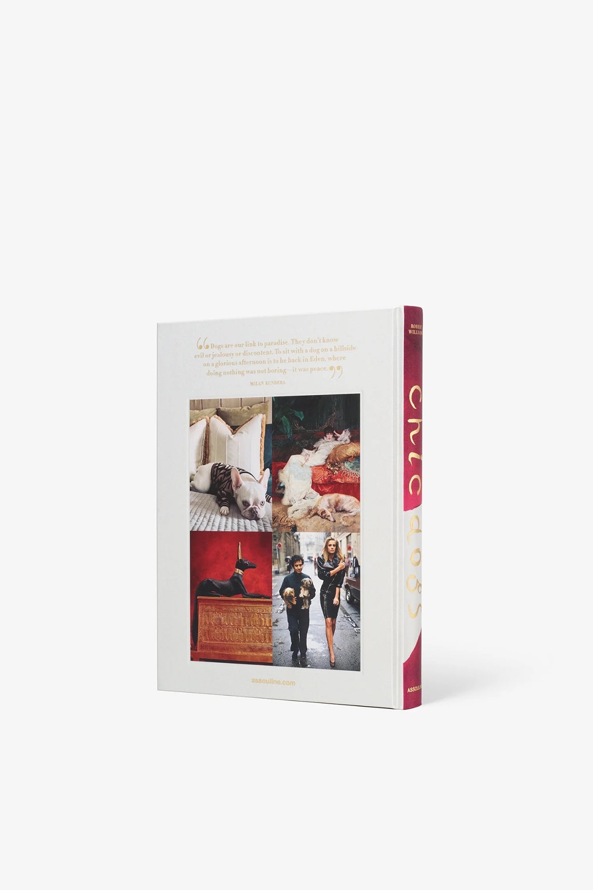 ASSOULINE | CHIC DOGS