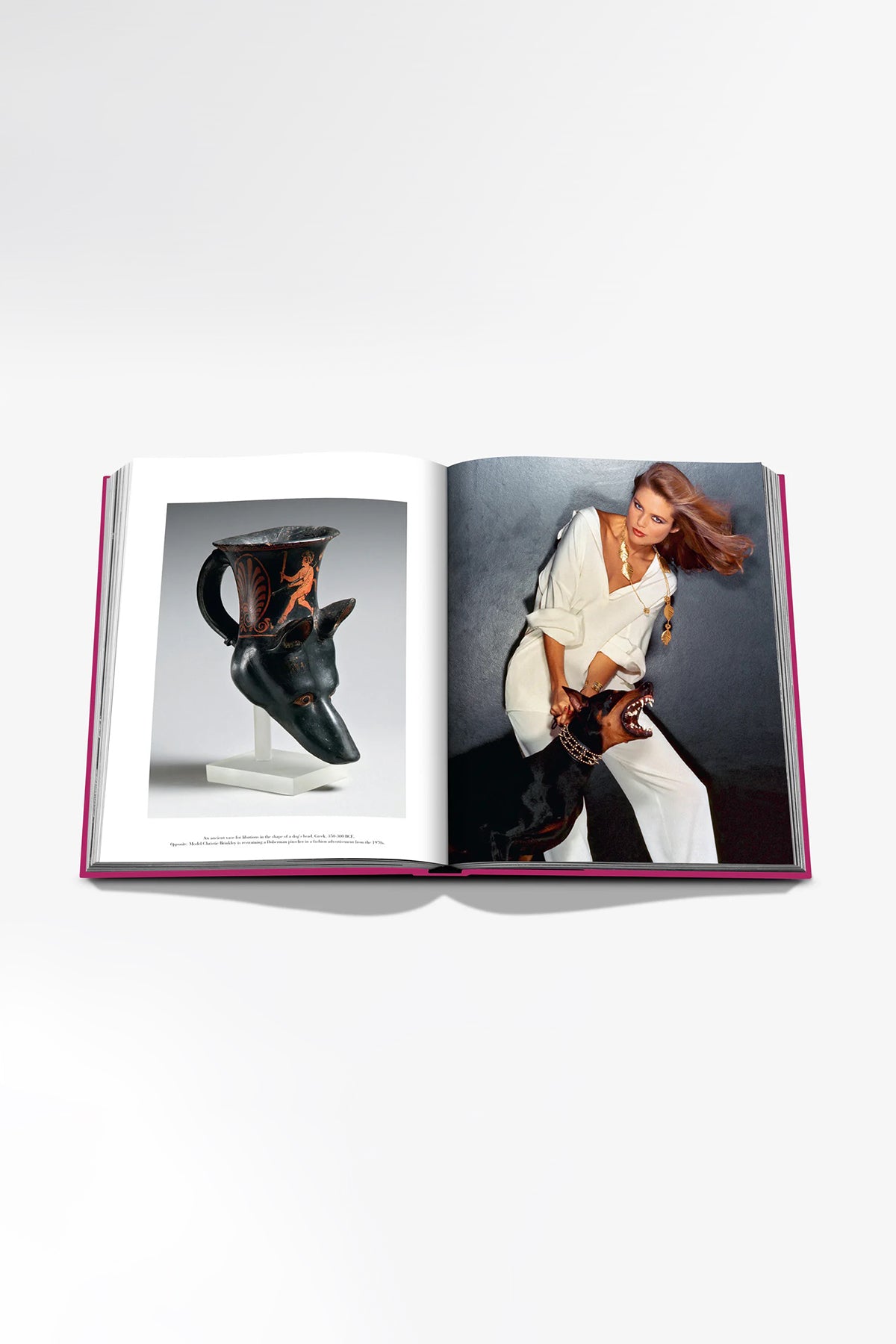 ASSOULINE | CHIC DOGS