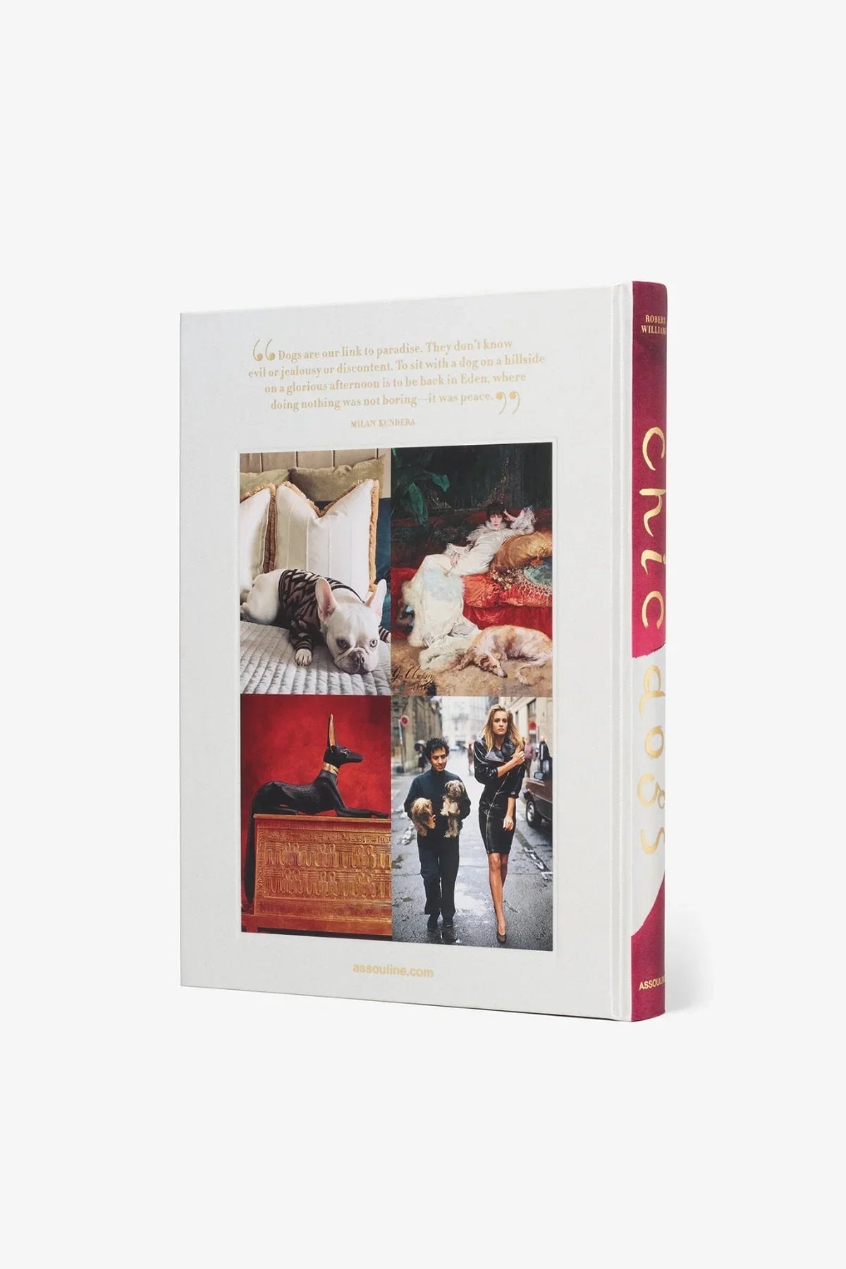 ASSOULINE | CHIC DOGS