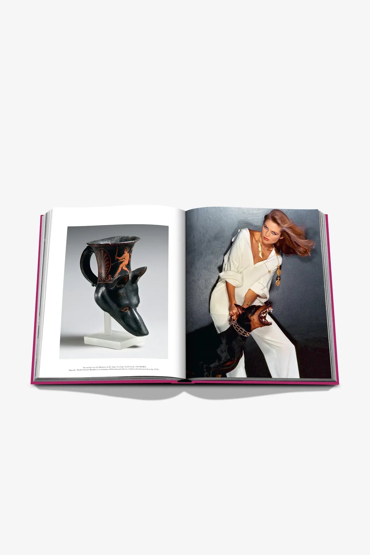 ASSOULINE | CHIC DOGS