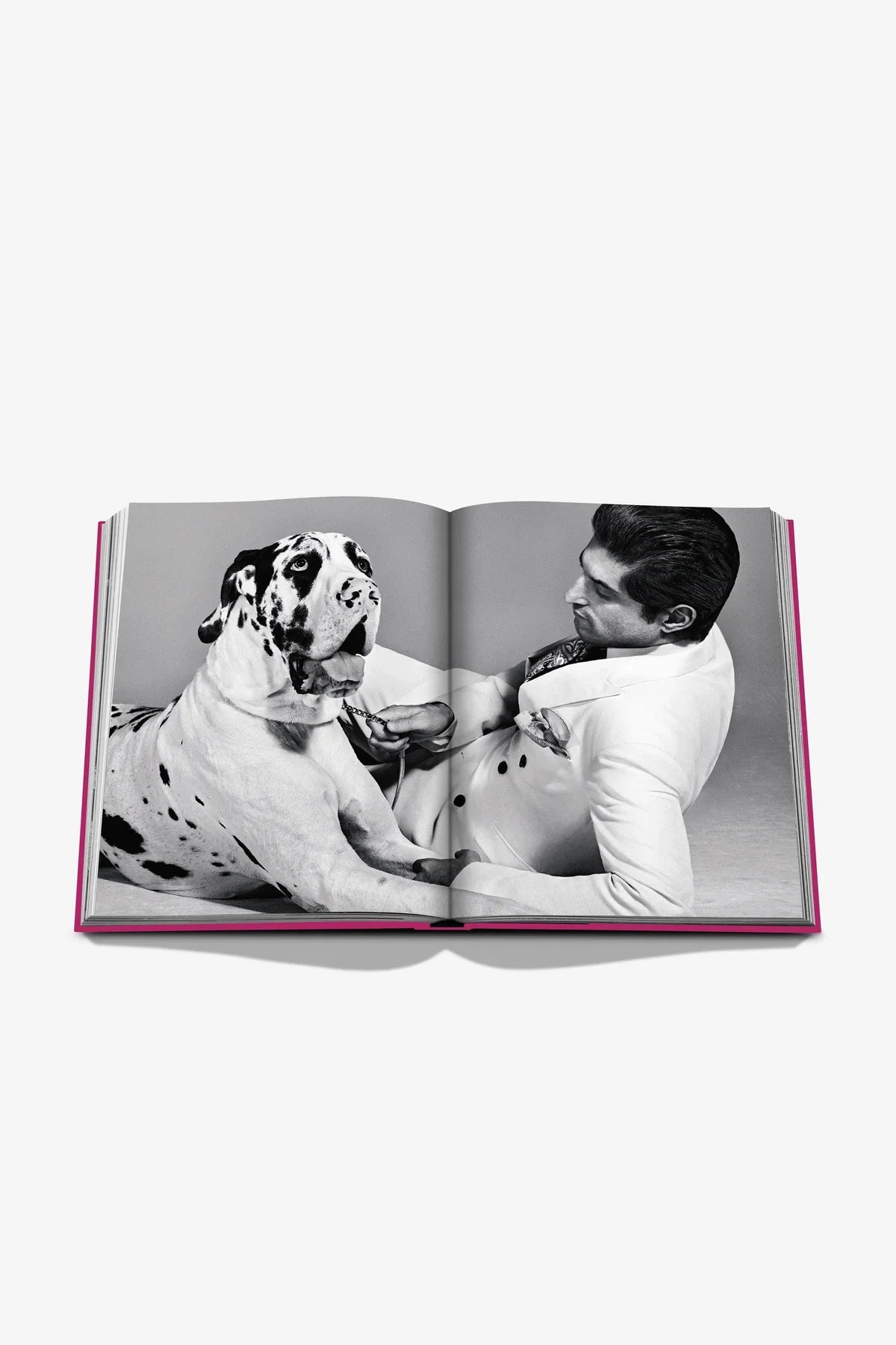 ASSOULINE | CHIC DOGS