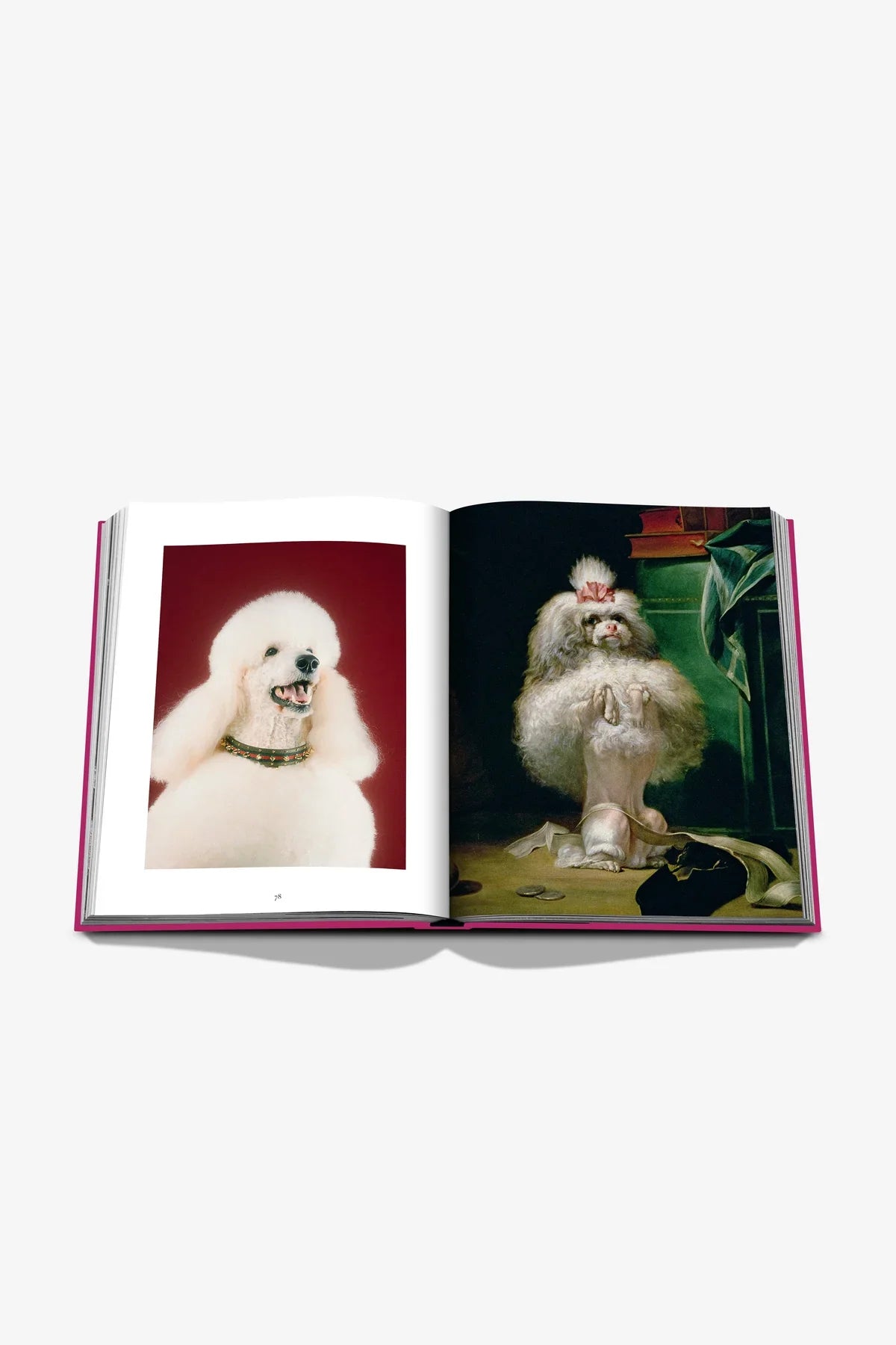 ASSOULINE | CHIC DOGS