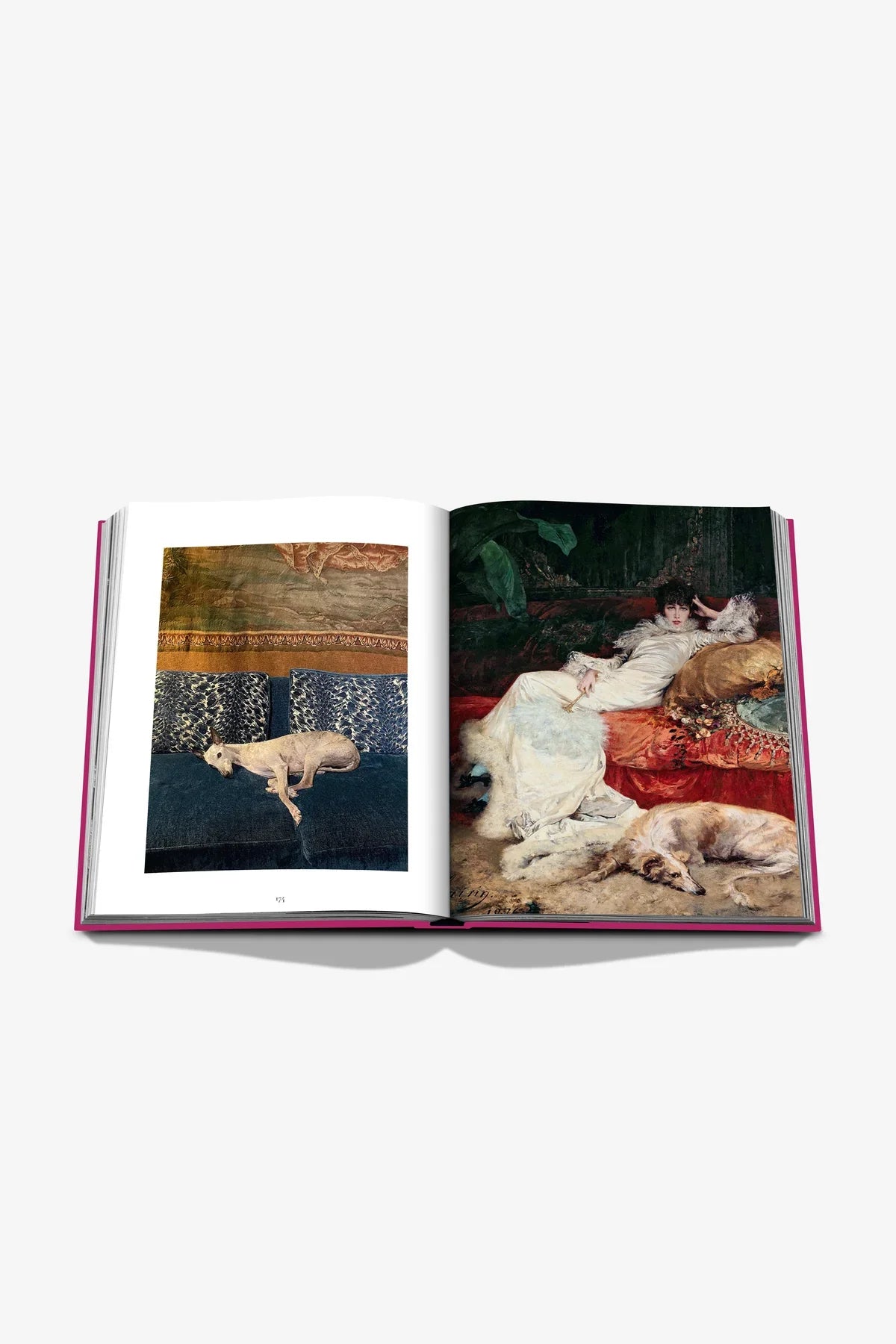ASSOULINE | CHIC DOGS