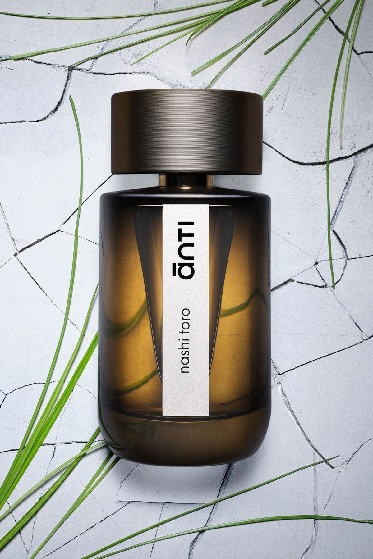 ĀNTI PARFUM | NASHI TORO EDP 100ML
