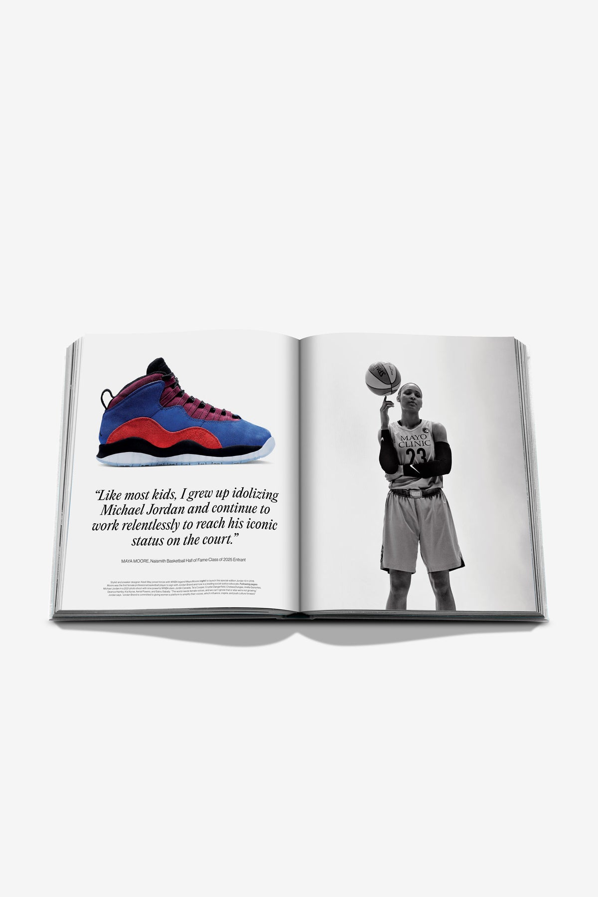 Assouline | Air Jordan (Classic)