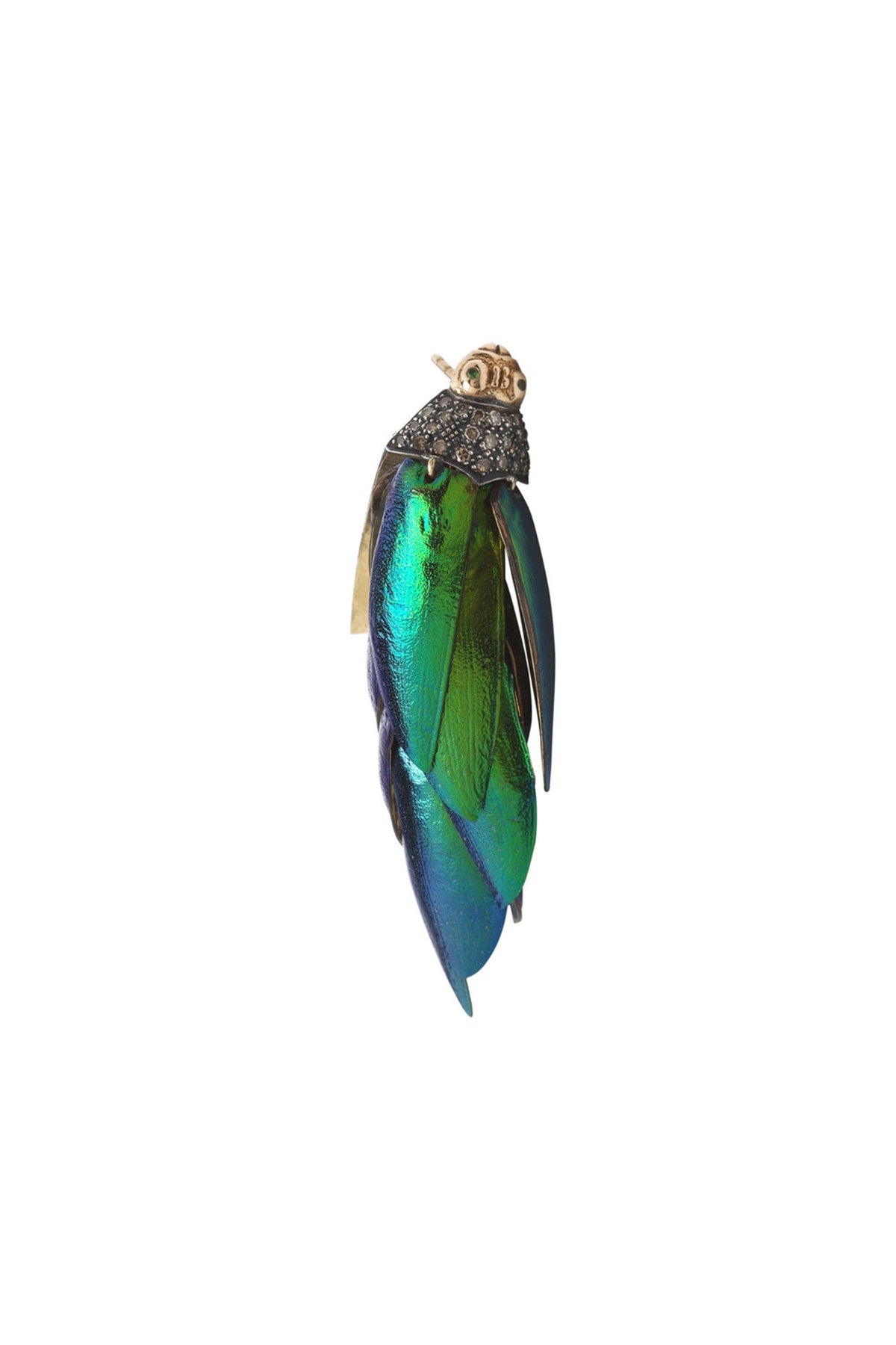 earring