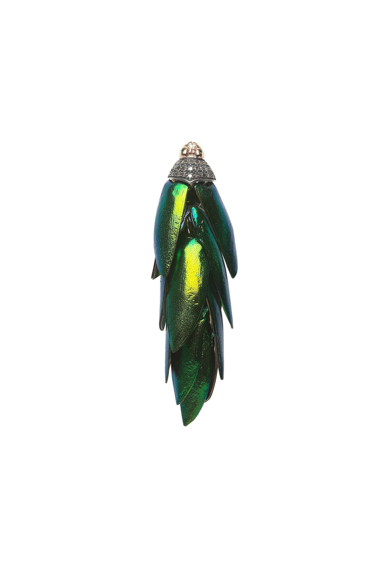 earring
