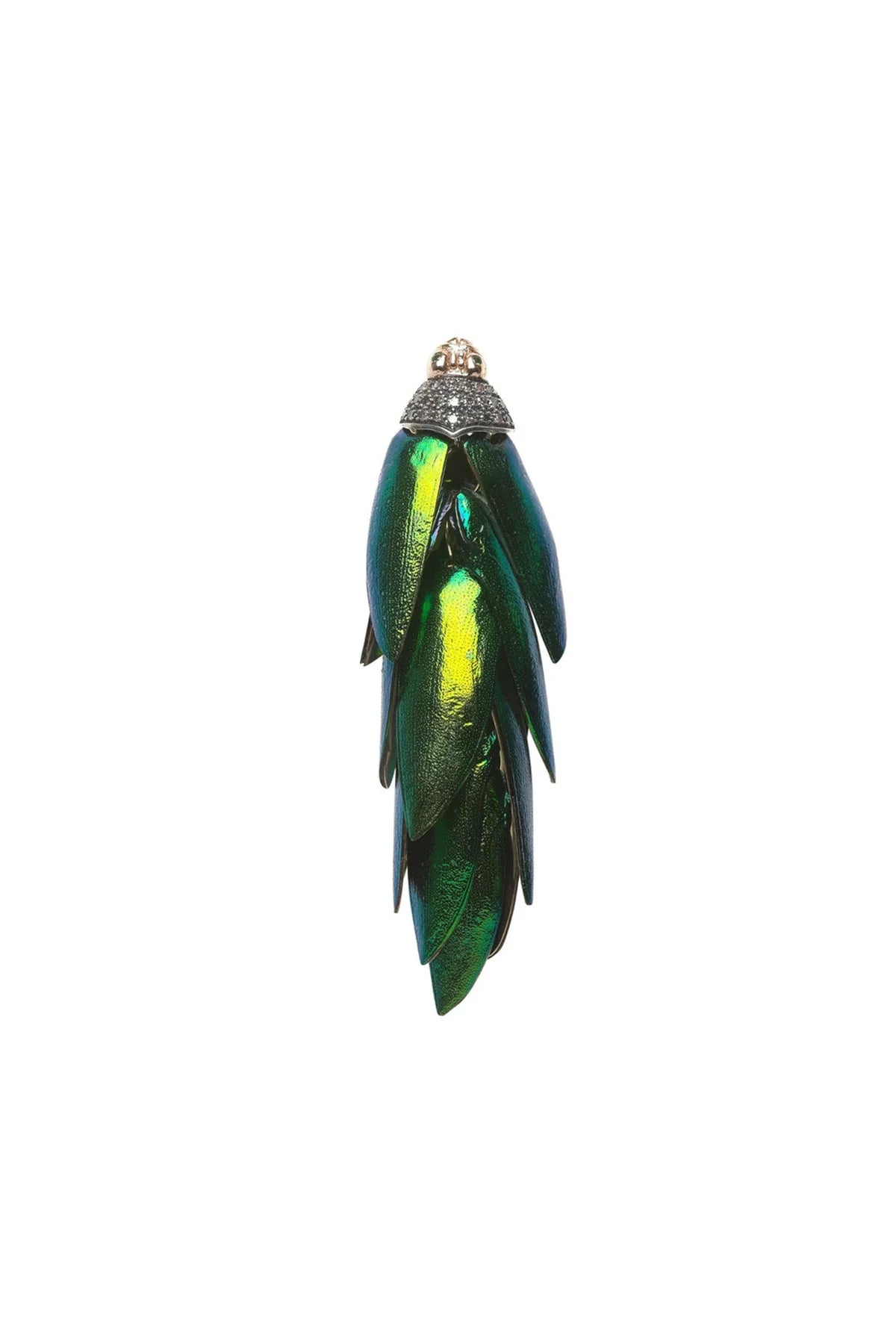 earring