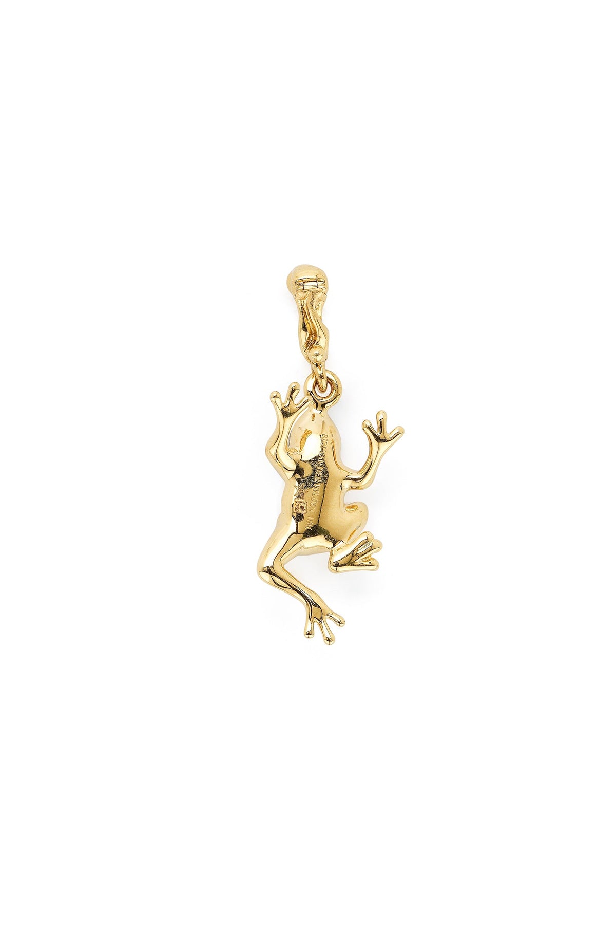Bibi van der Velden | Frog Charm