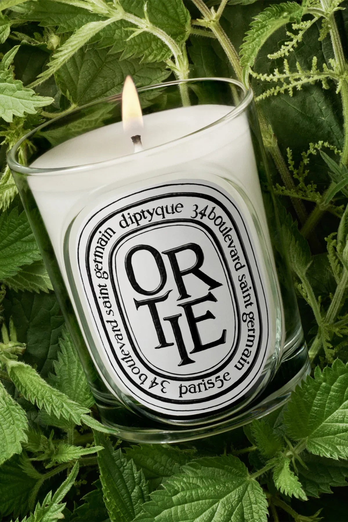 Diptyque | Ortie (Nettle) 190g Candle