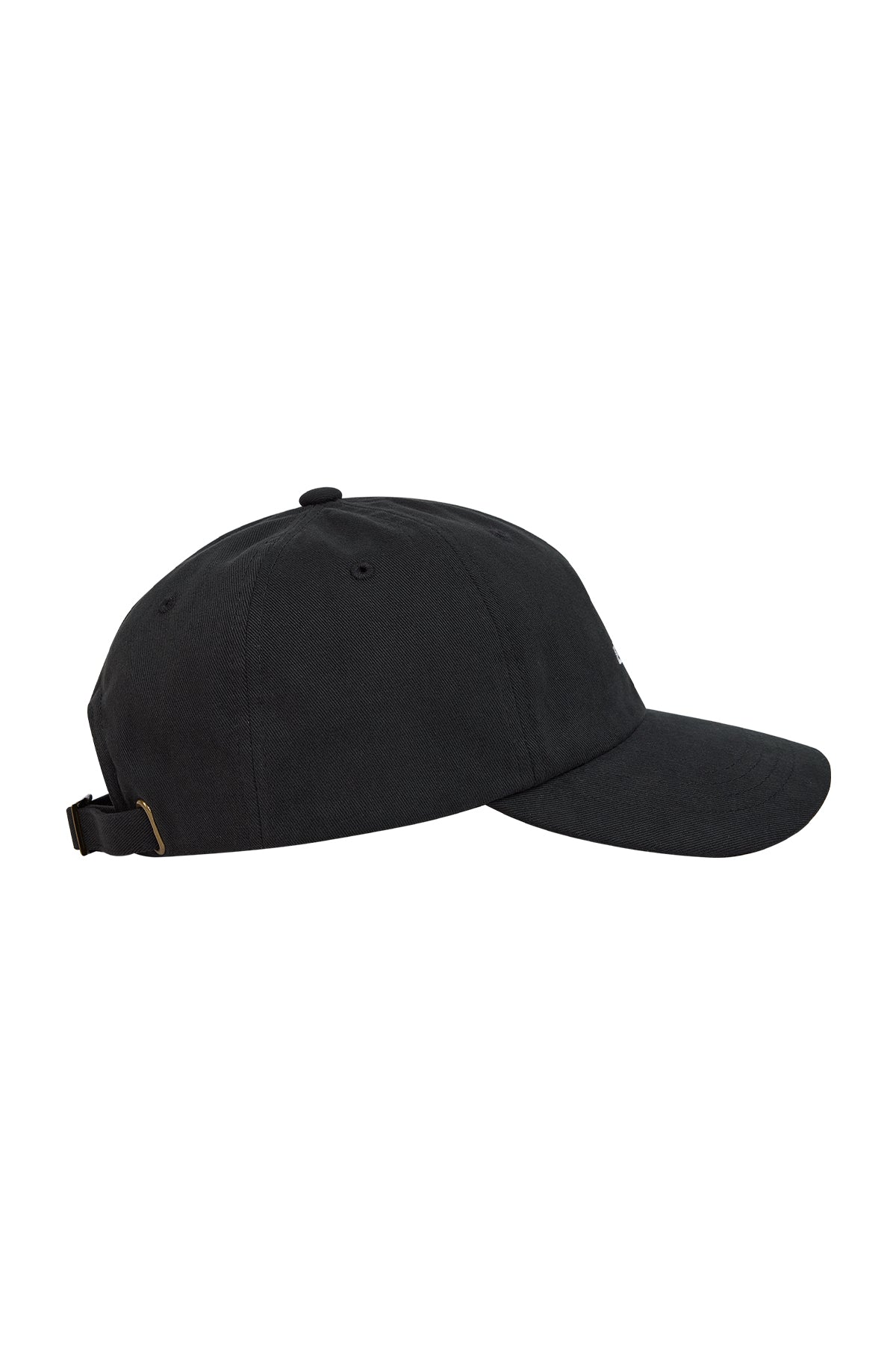 Erewhon | Dad Hat