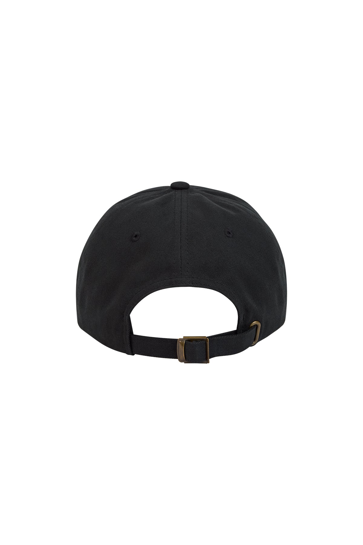 Erewhon | Dad Hat