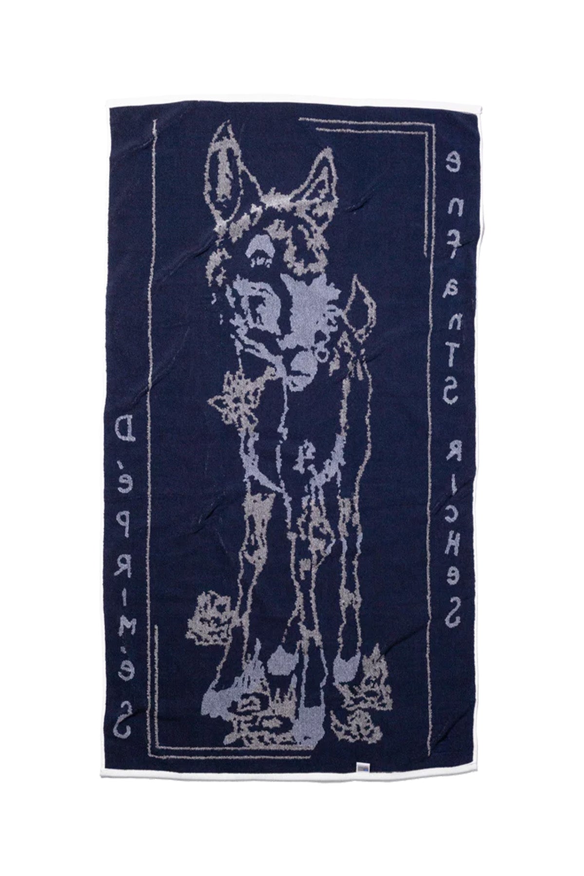 ENFANTS RICHES DÉPRIMÉS | BEACH TOWEL