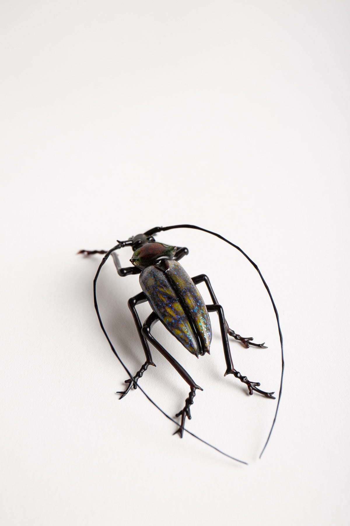 MAXFIELD PRIVATE COLLECTION | LONG HORNED BEETLE - MAXFIELD LA